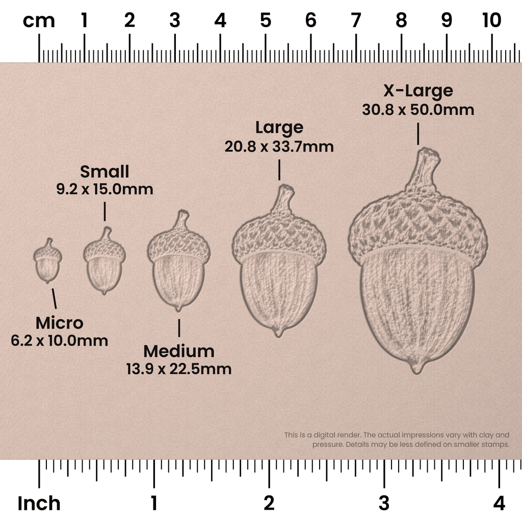Acorn Stamps - Photo Textured