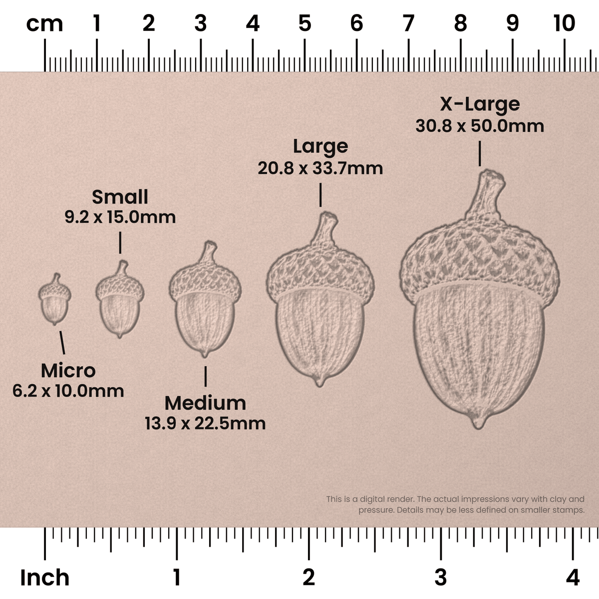 Acorn Stamps - Photo Textured