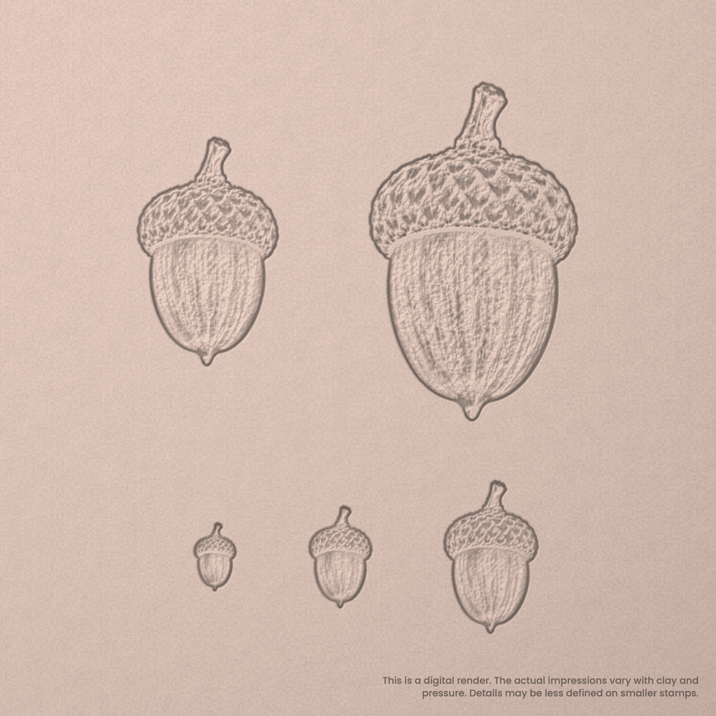 Acorn Stamps - Photo Textured