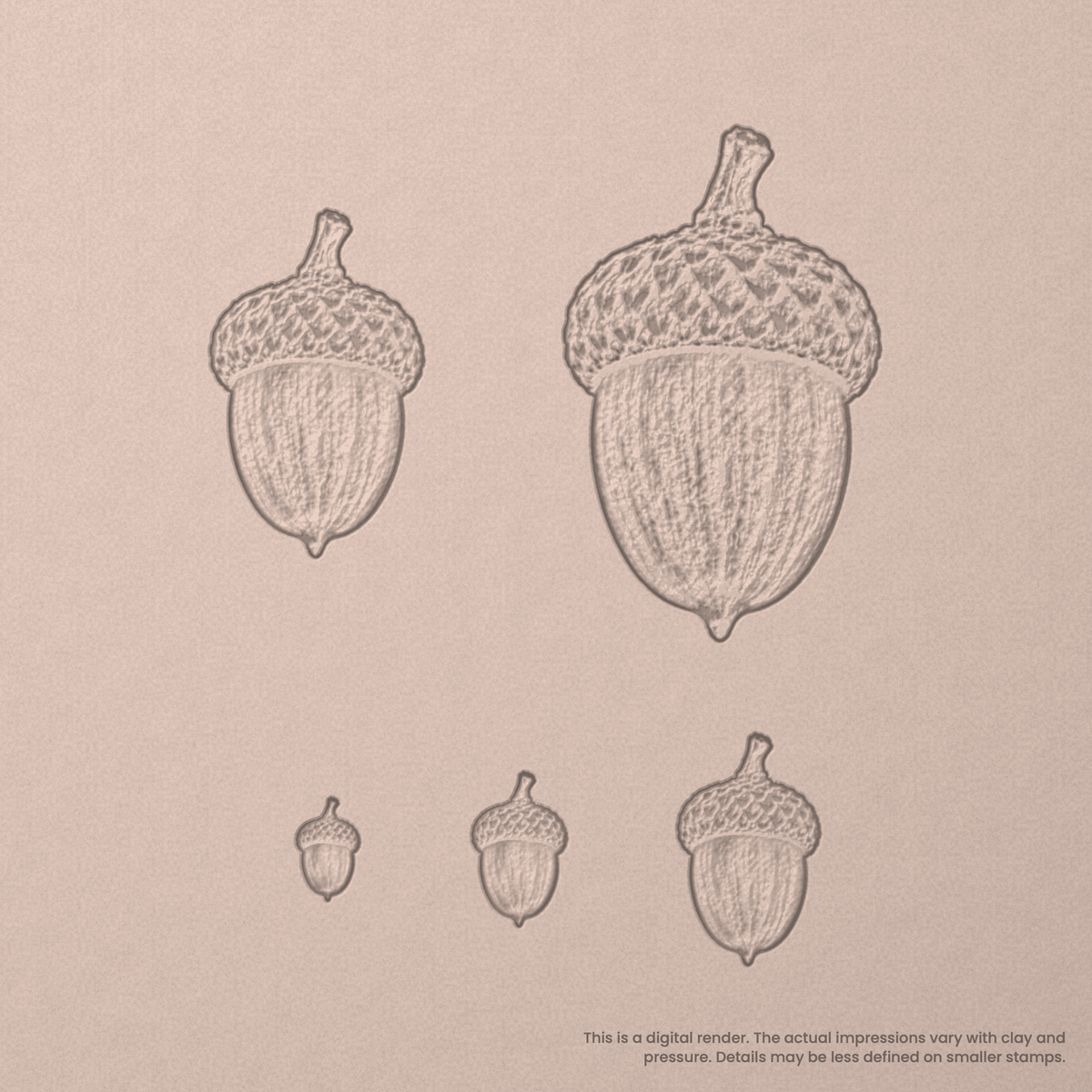 Acorn Stamps - Photo Textured