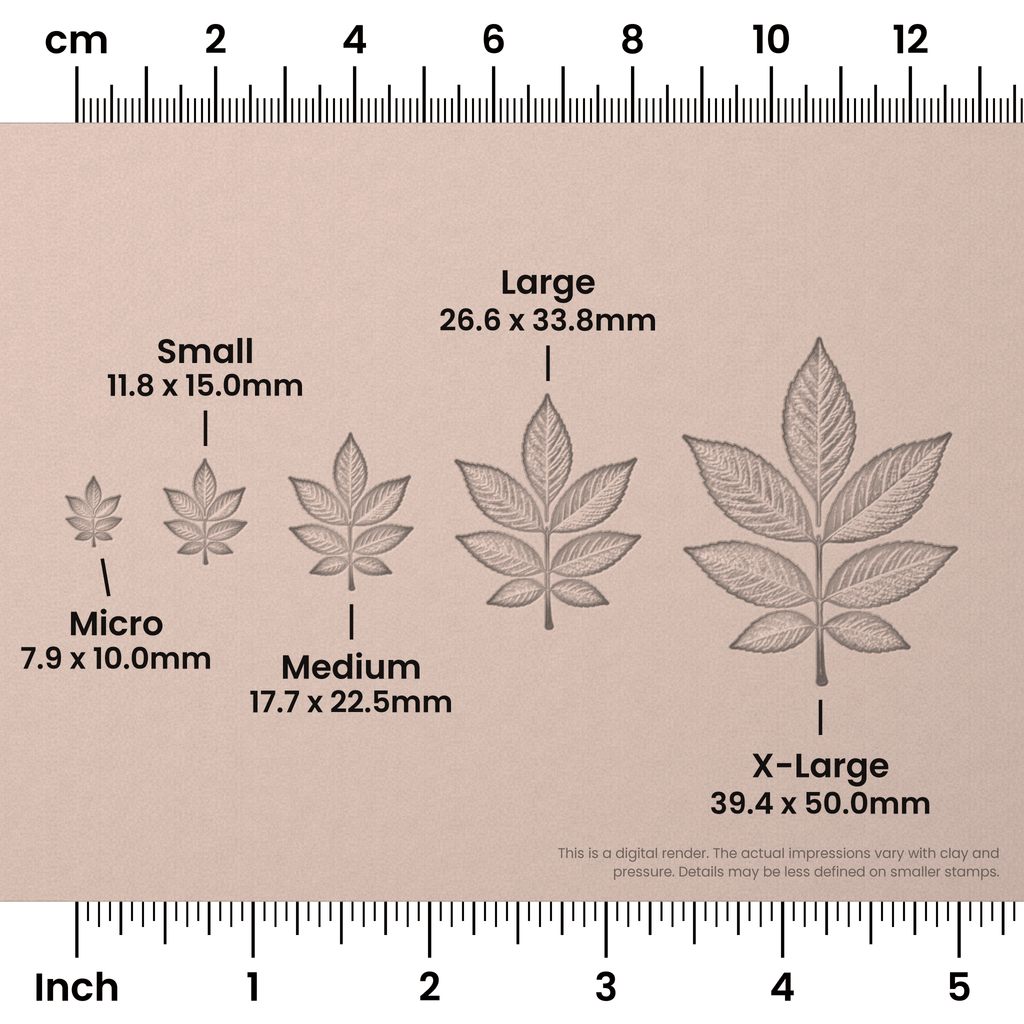 Ash Leaf Stamps - Photo Textured