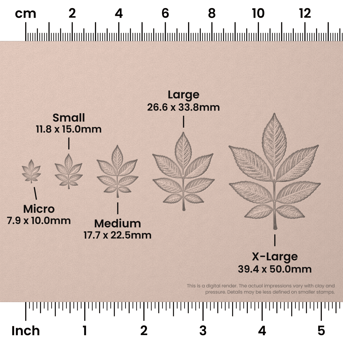 Ash Leaf Stamps - Photo Textured