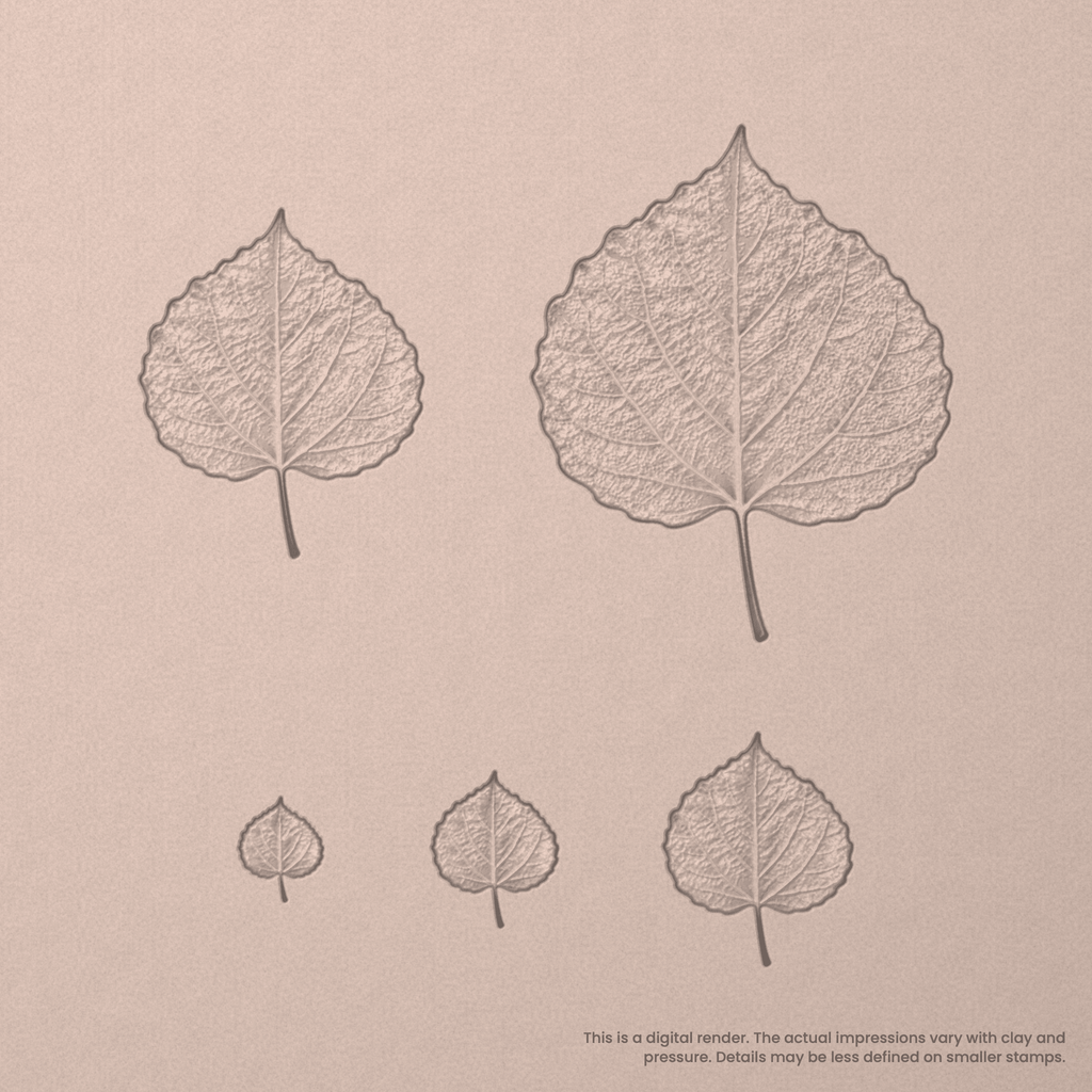 Aspen Leaf Stamps - Photo Textured