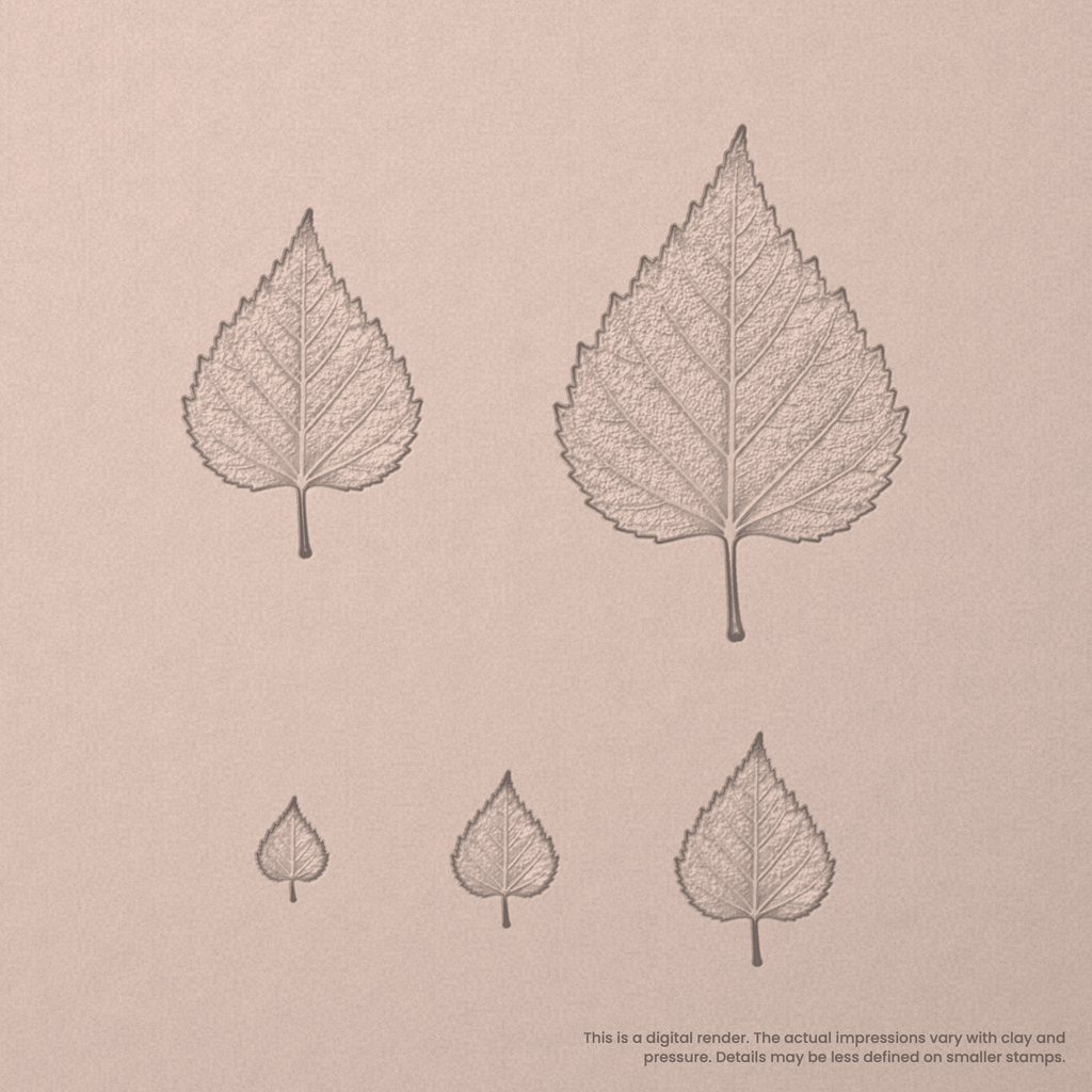 Birch Leaf Stamps - Photo Textured
