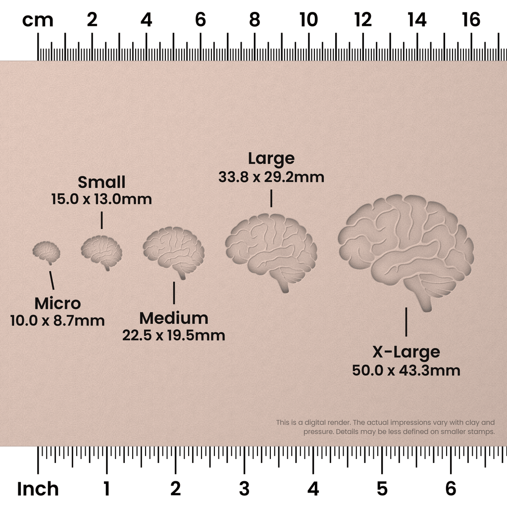 Brain (Side View) Stamps