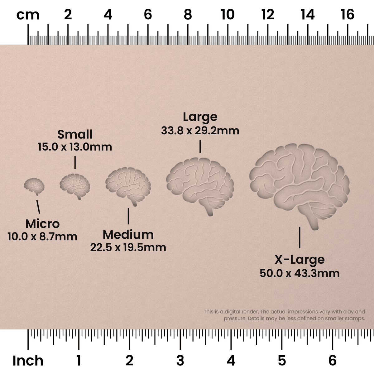 Brain (Side View) Stamps