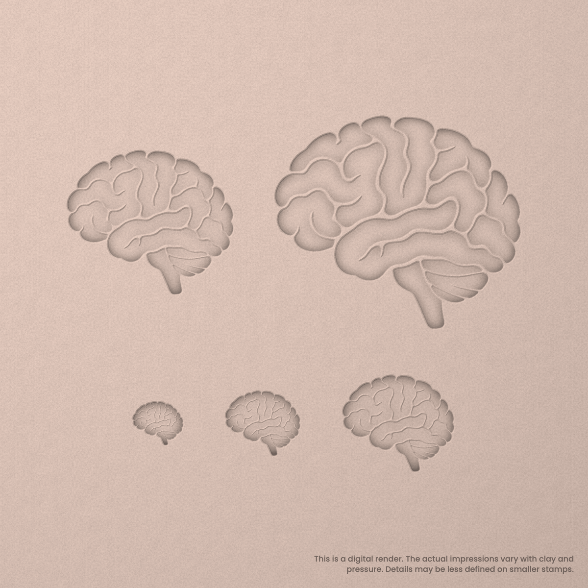 Brain (Side View) Stamps