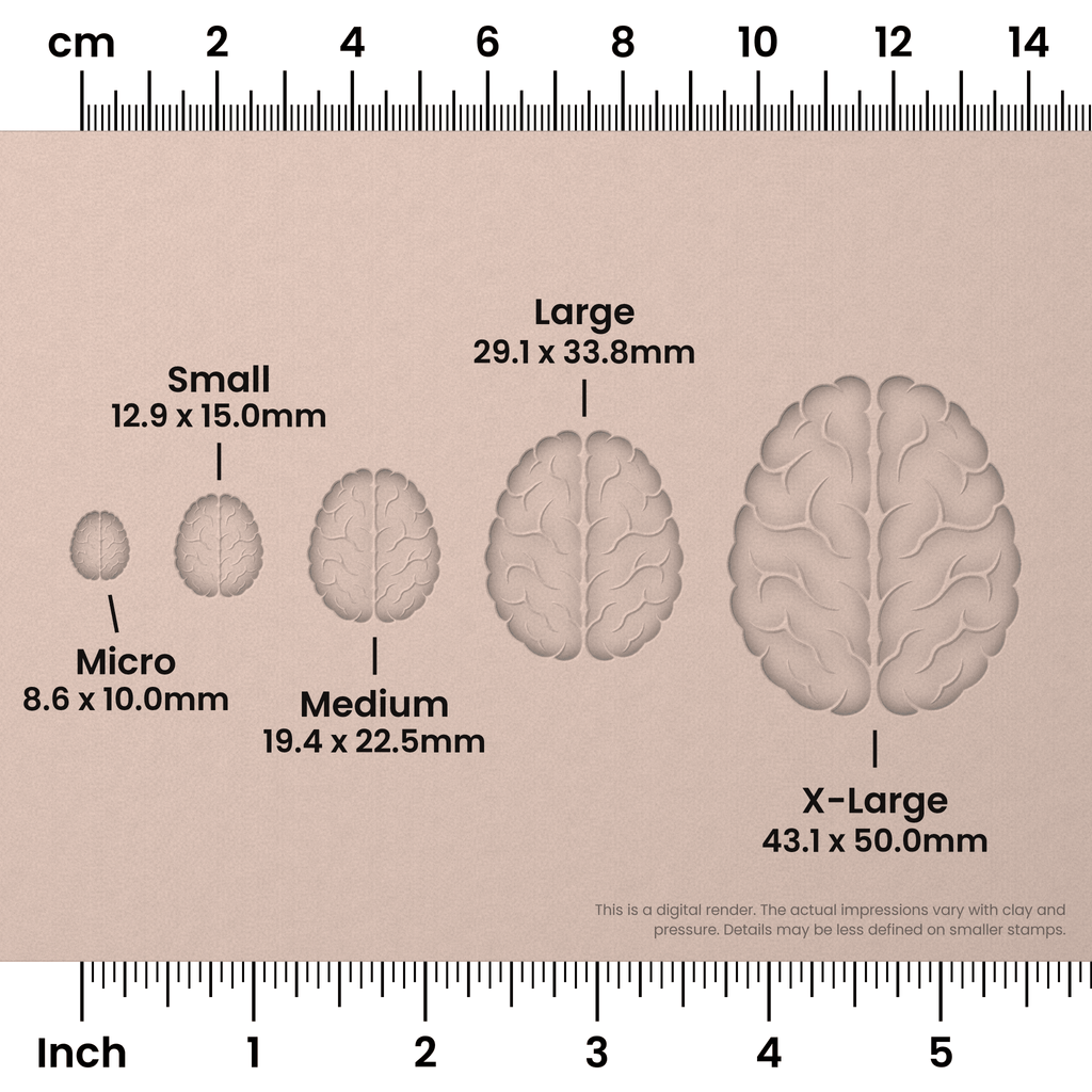 Brain (Top View) Stamps
