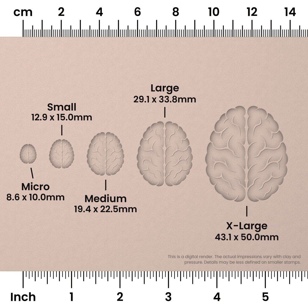 Brain (Top View) Stamps