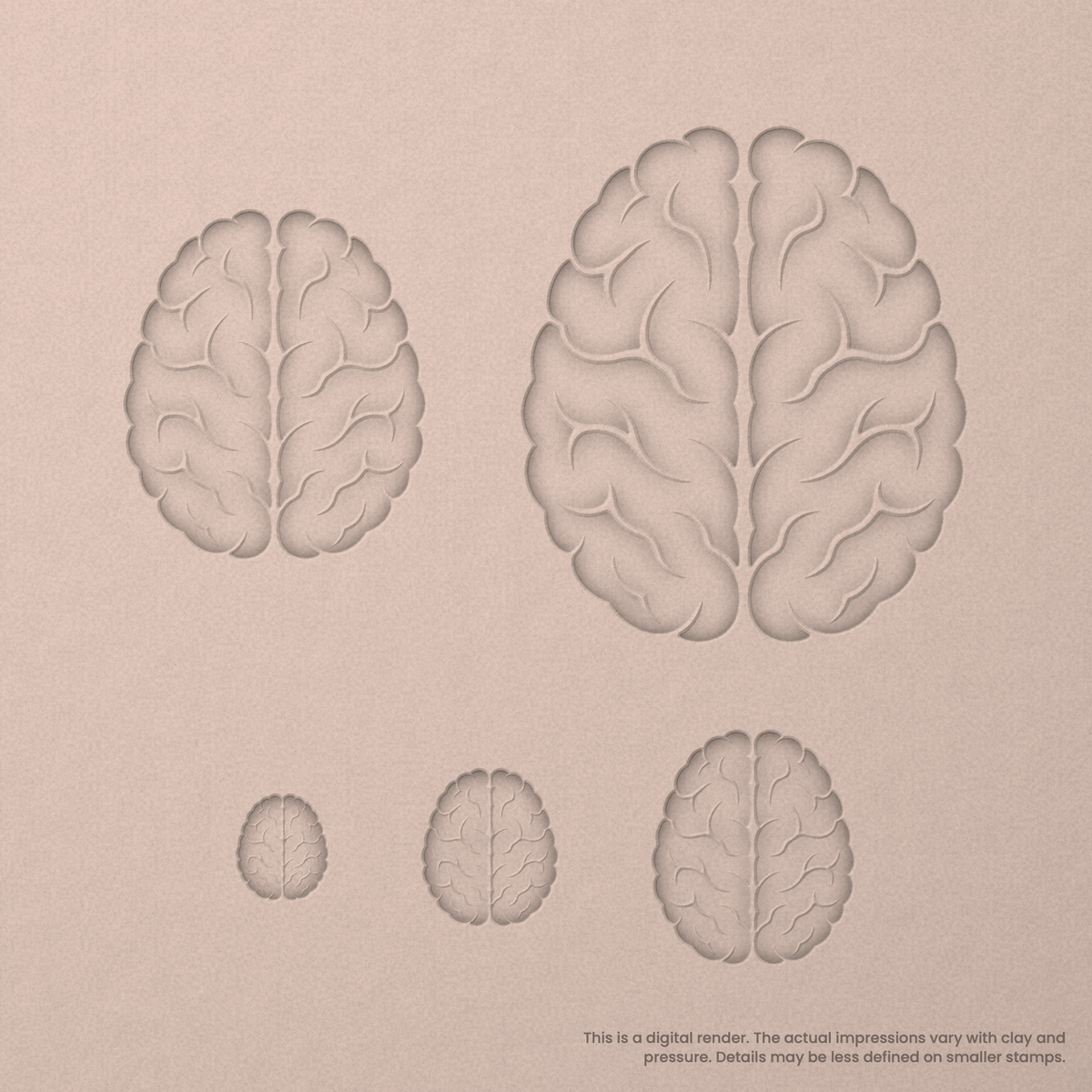 Brain (Top View) Stamps