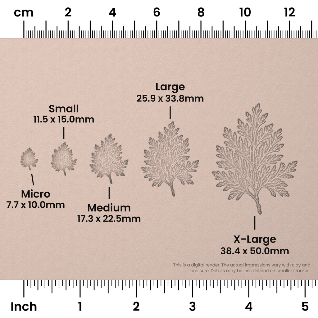 Cedar Leaf Stamps - Photo Textured