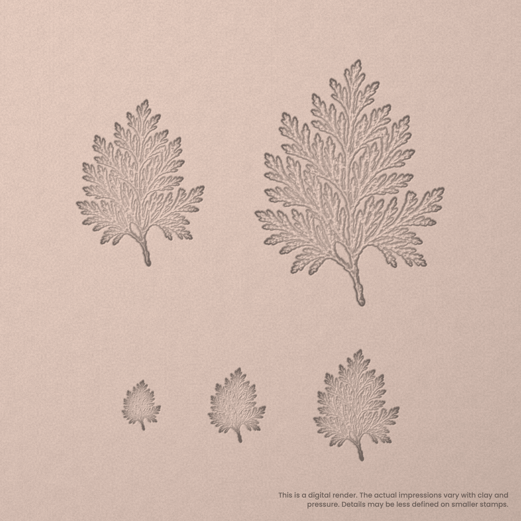 Cedar Leaf Stamps - Photo Textured