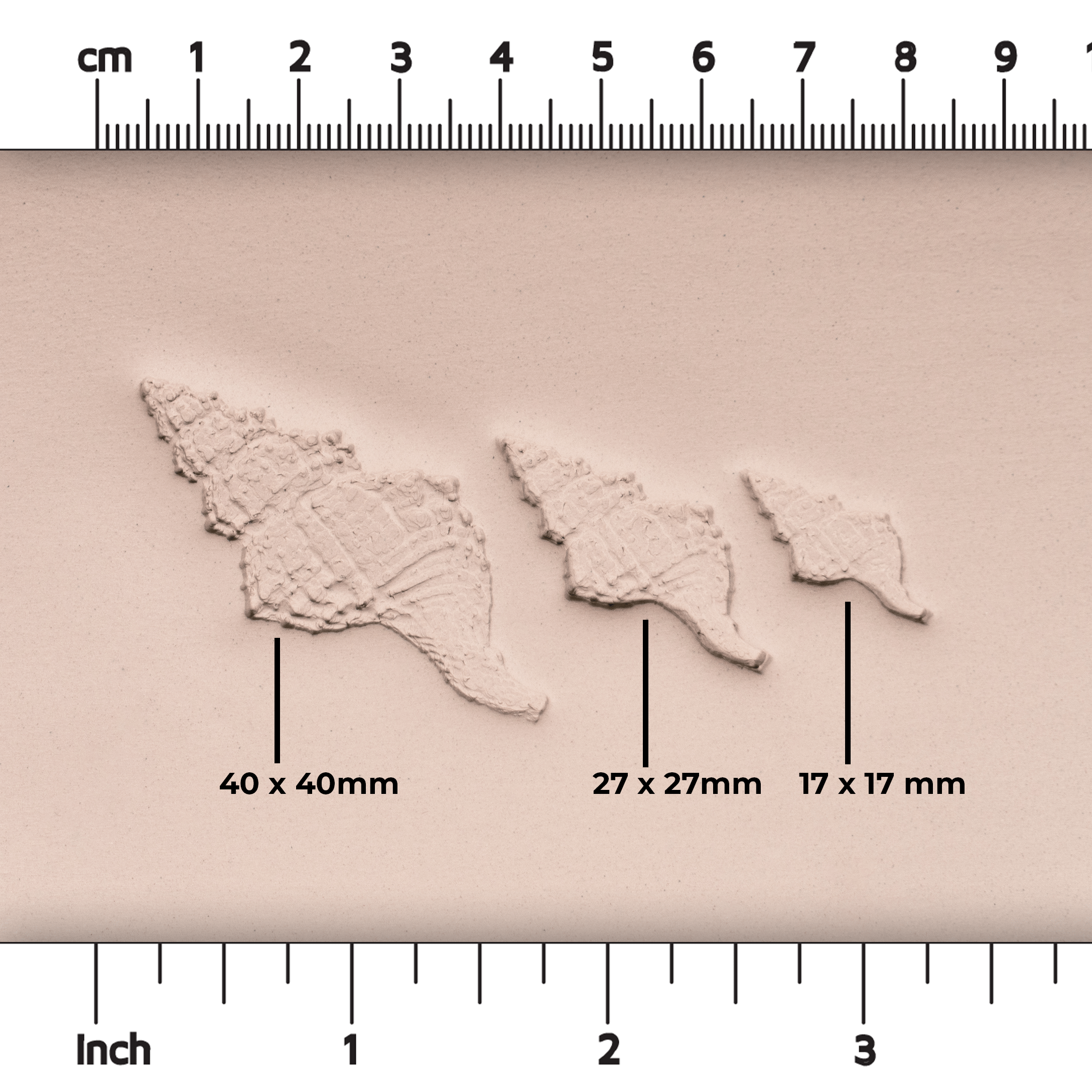 Conch Shell Stamp - Photo Textured - Style #1