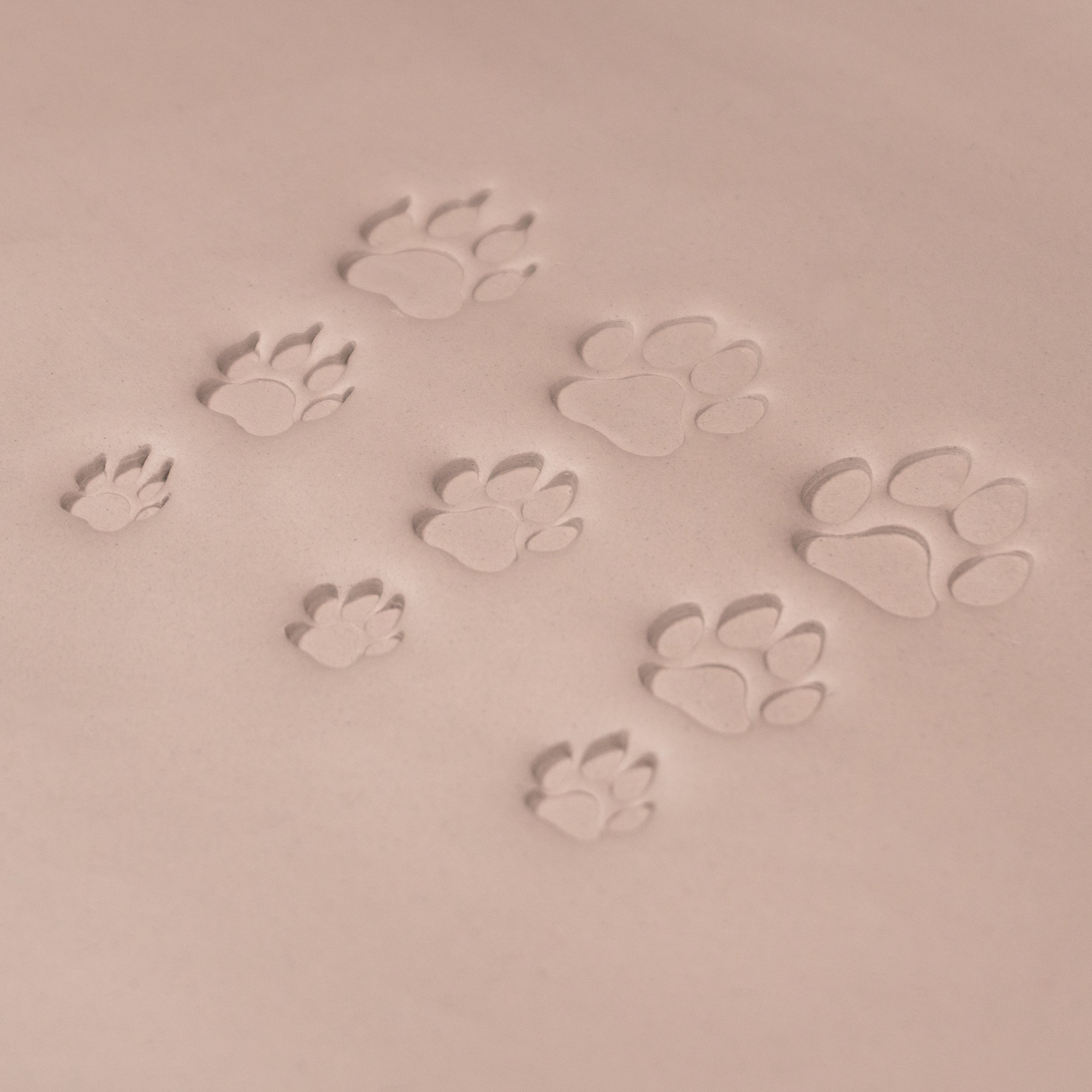 Dog Paw Stamps