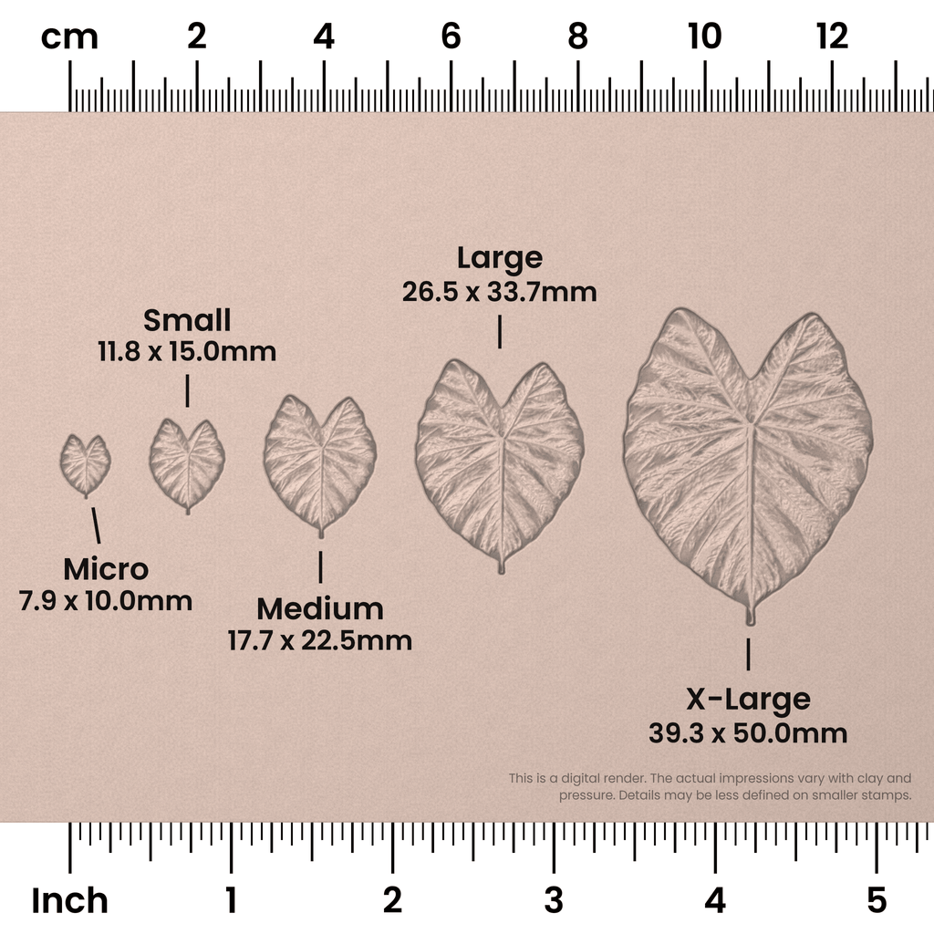 Elephant Leaf Stamps - Photo Textured