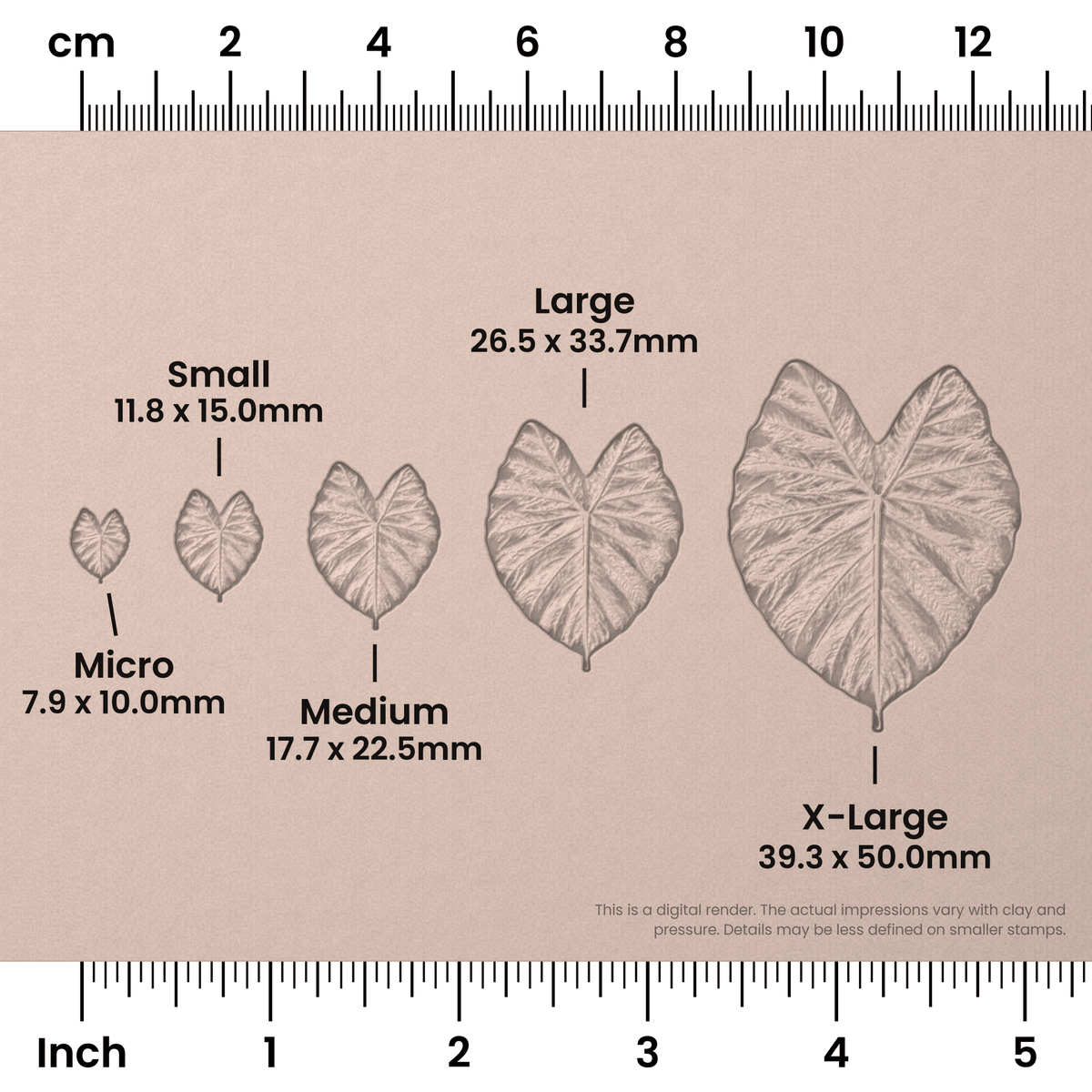 Elephant Leaf Stamps - Photo Textured