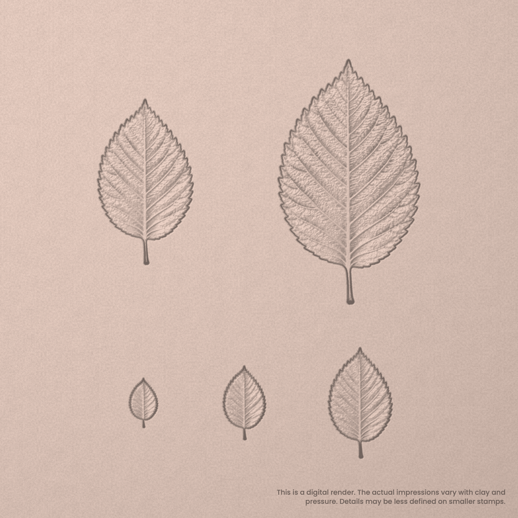 Elm Leaf Stamps - Photo Textured