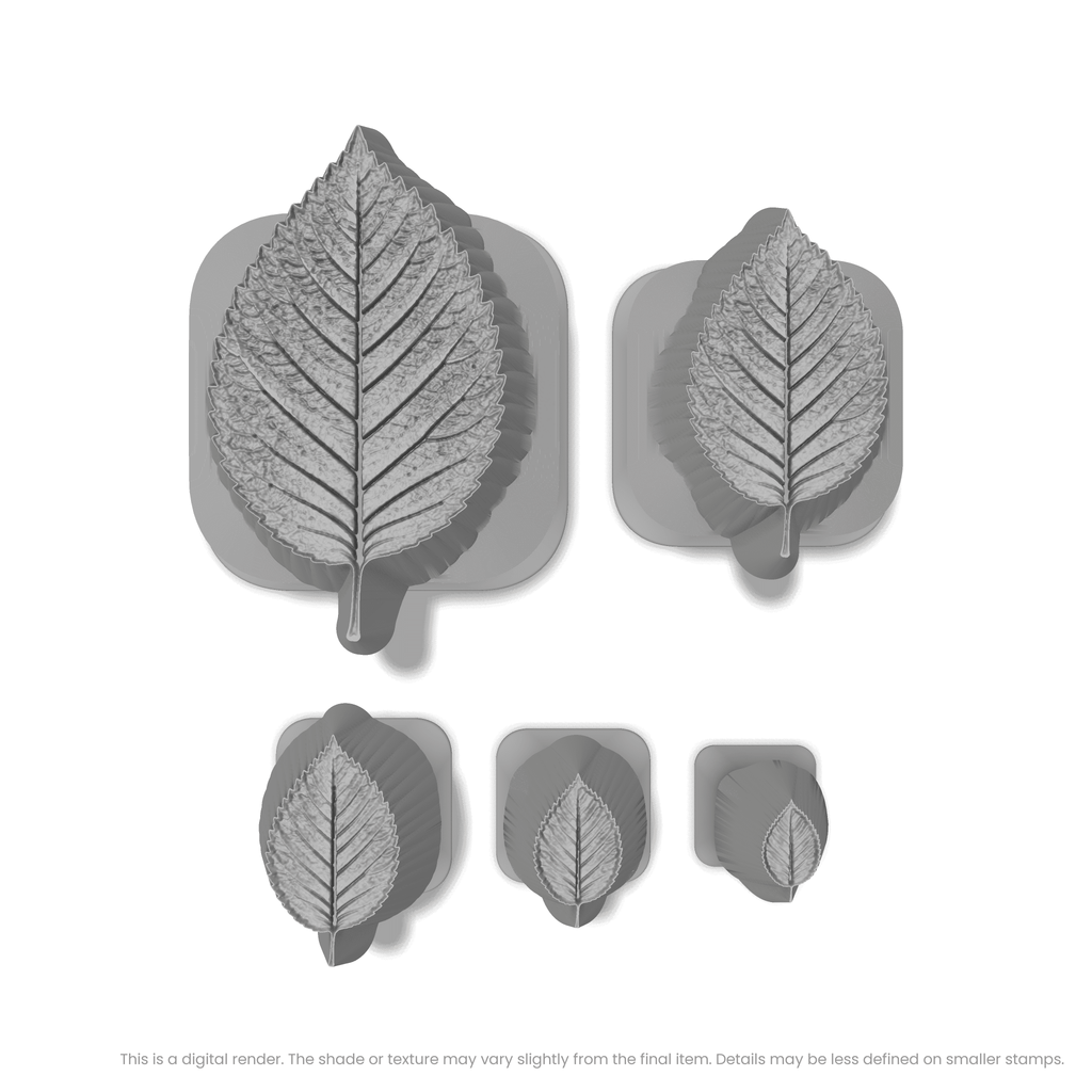Elm Leaf Stamps - Photo Textured