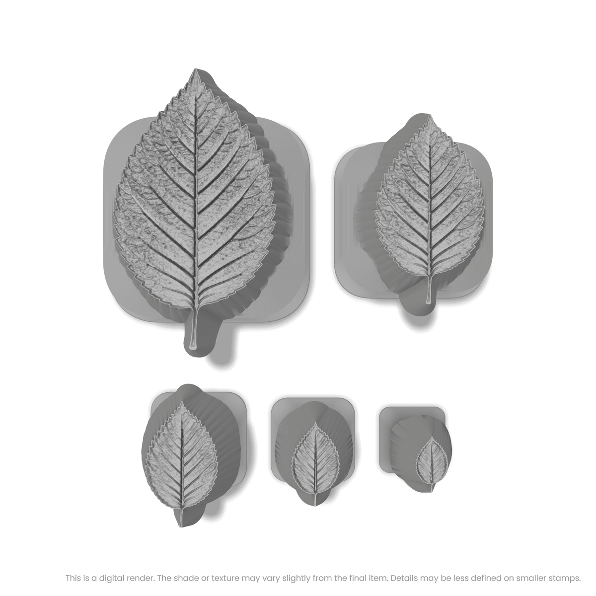 Elm Leaf Stamps - Photo Textured