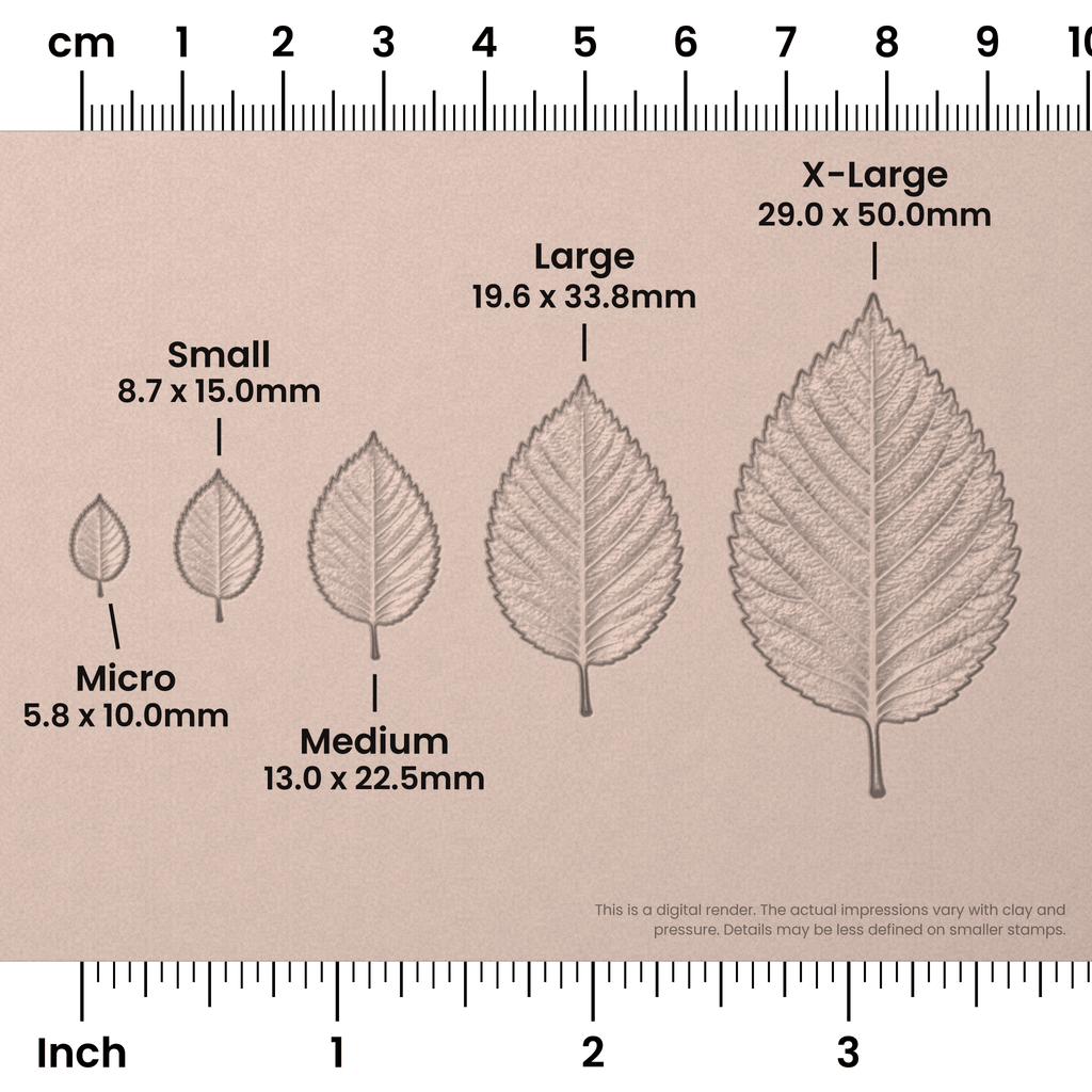 Elm Leaf Stamps - Photo Textured