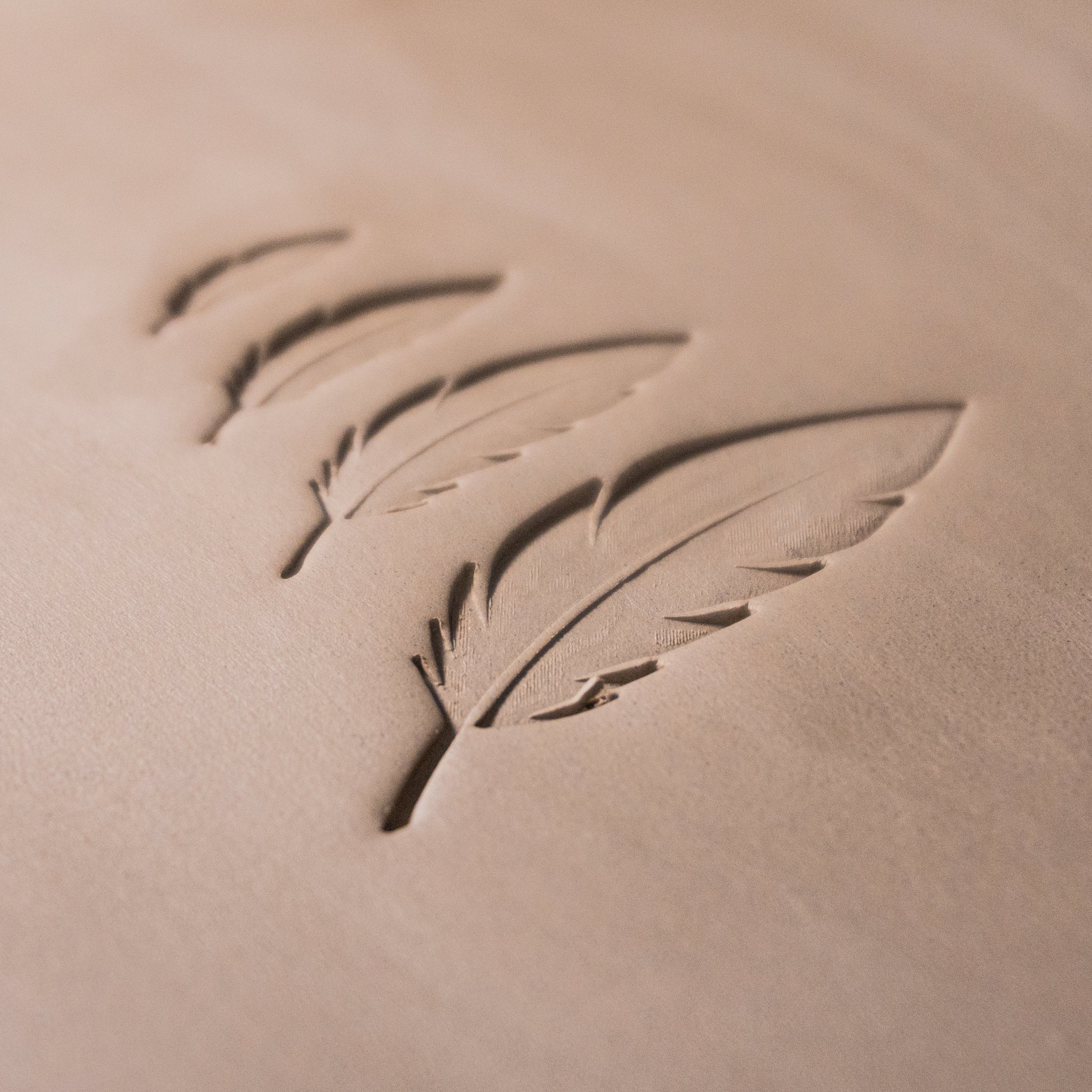 Feather Stamps