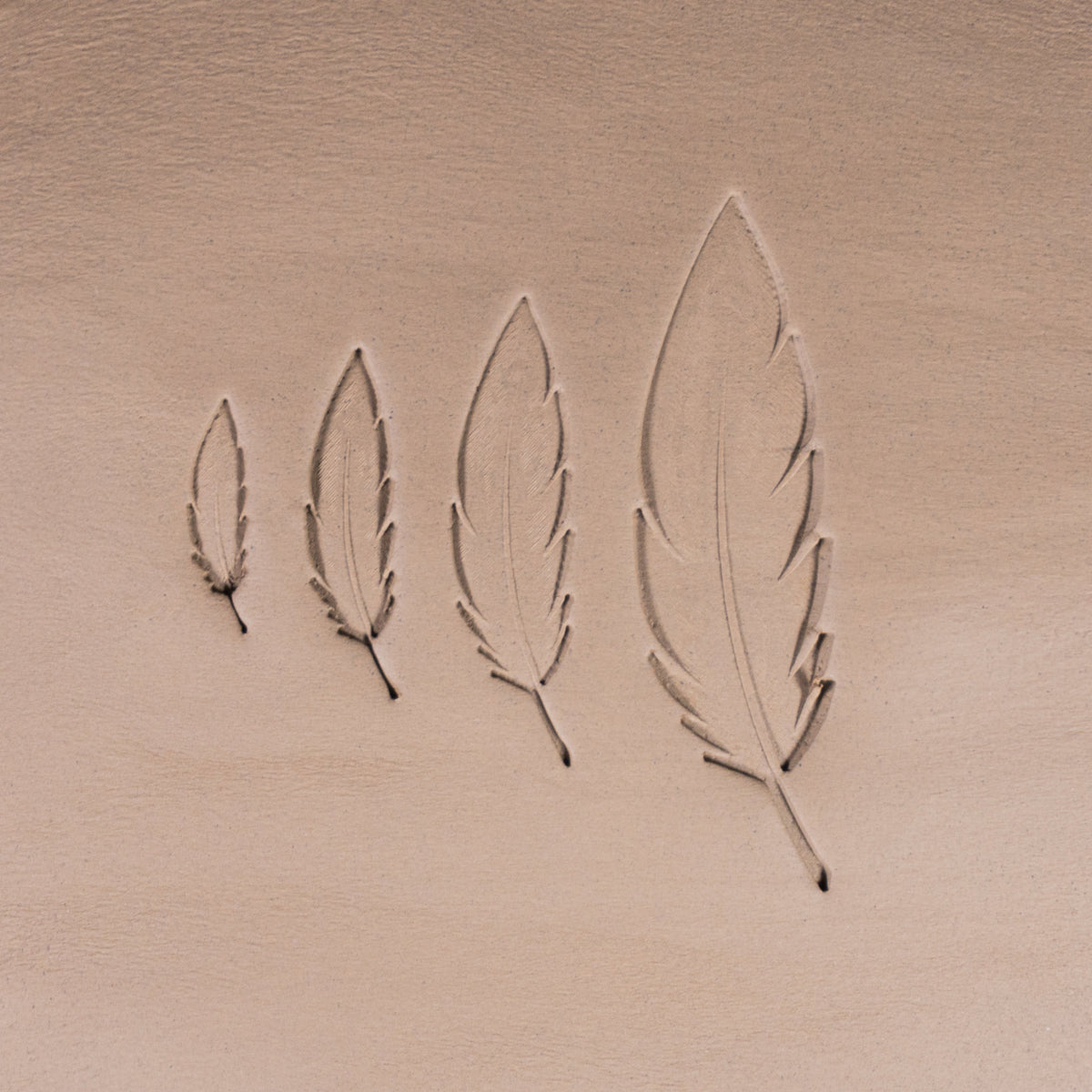 Feather Stamps