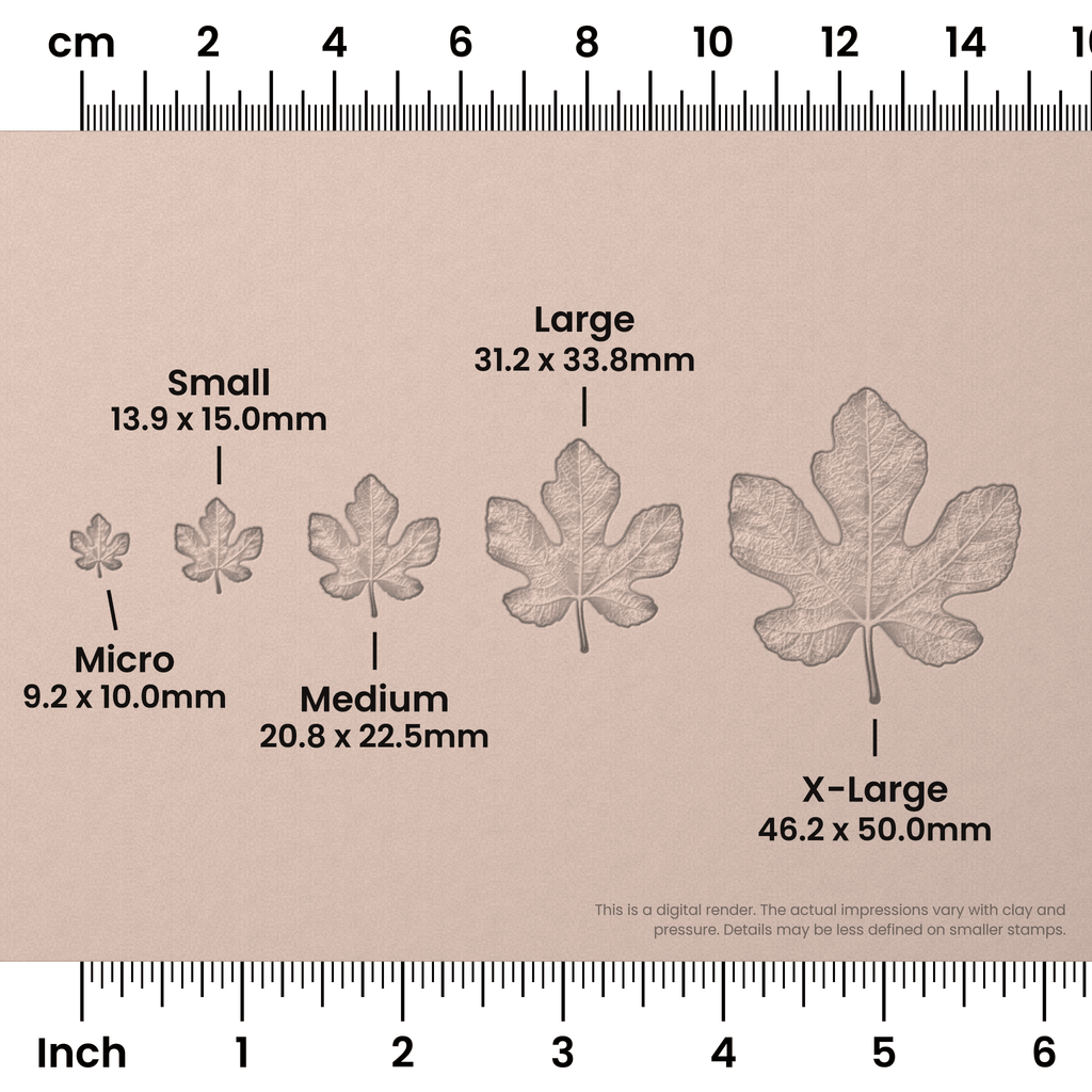 Fig Leaf Stamps - Photo Textured