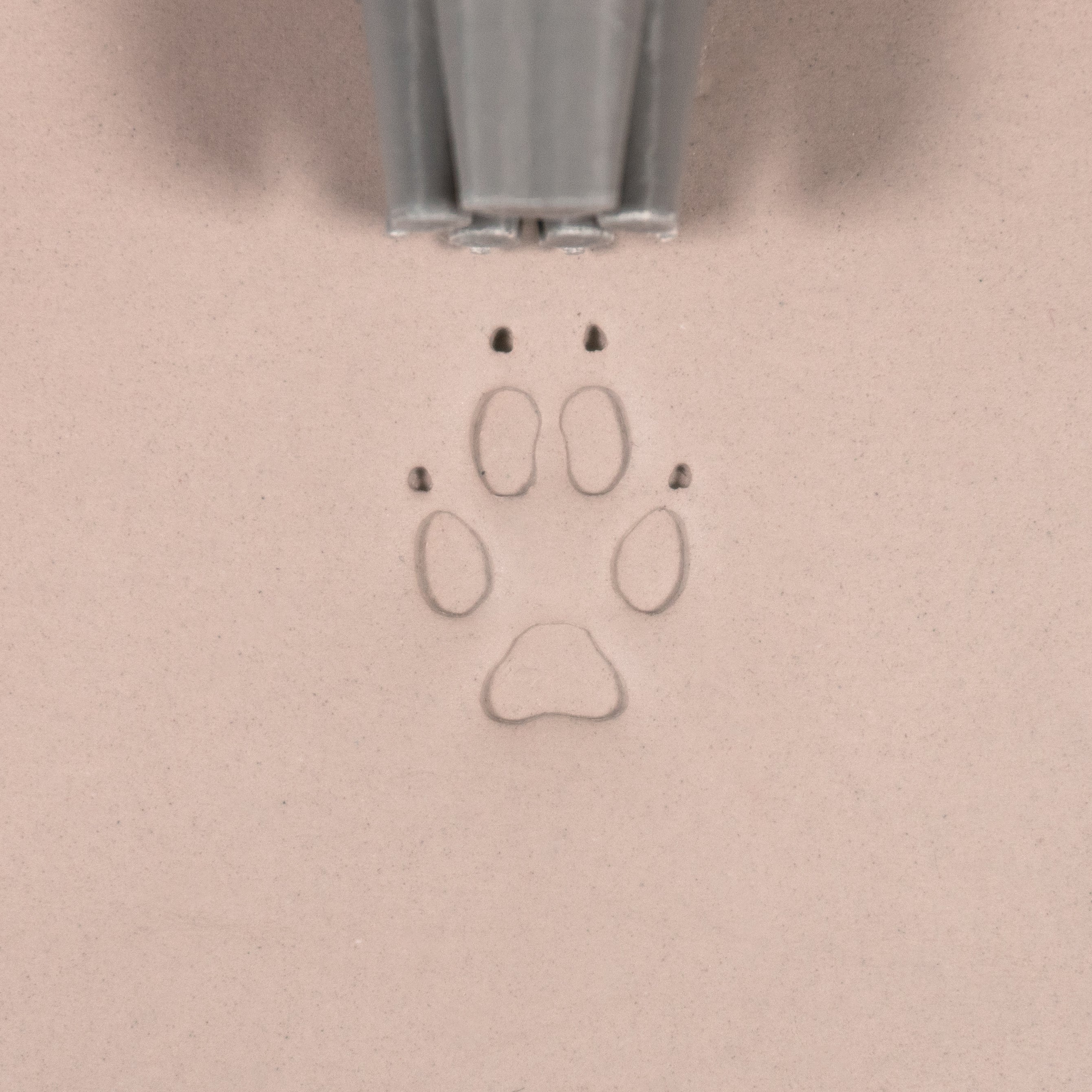 Fox Paw Stamp - Medium - Style #1