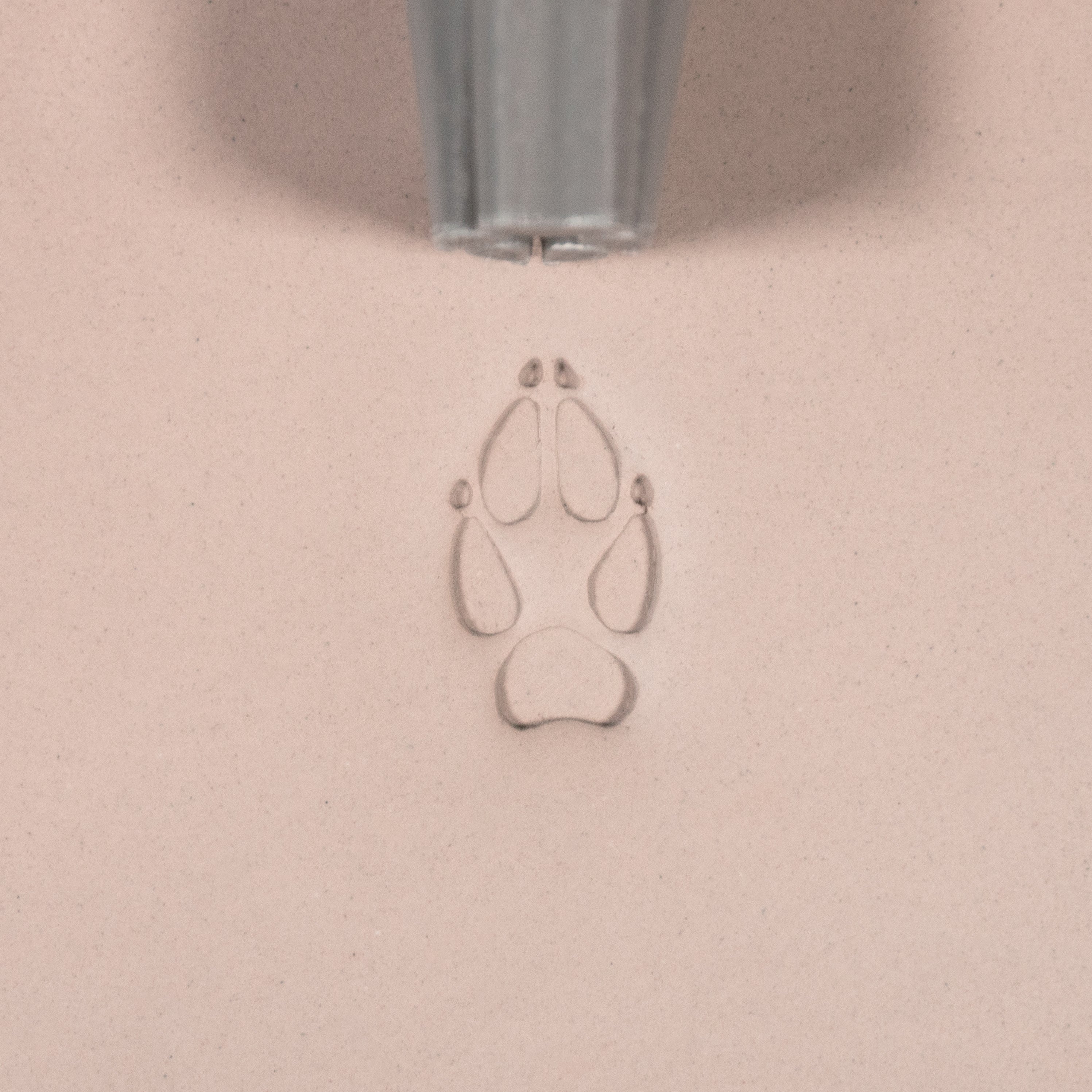 Fox Paw Stamp - Medium - Style #2