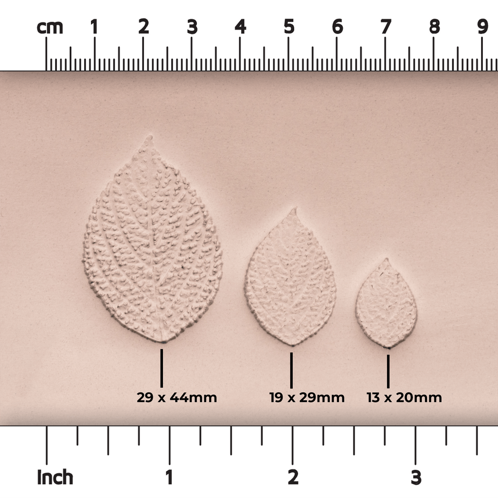 Generic Plant Leaf Stamp - Photo Textured - Style #2