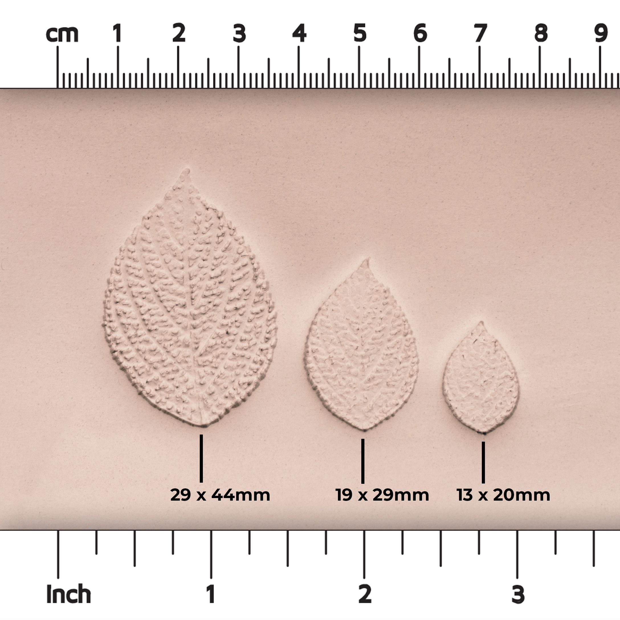 Generic Plant Leaf Stamp - Photo Textured - Style #2