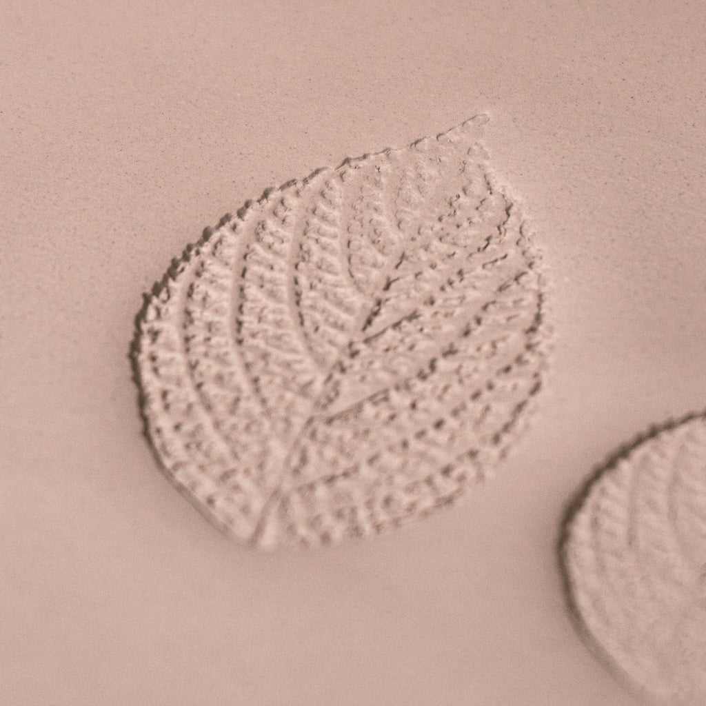 Generic Plant Leaf Stamp - Photo Textured - Style #2