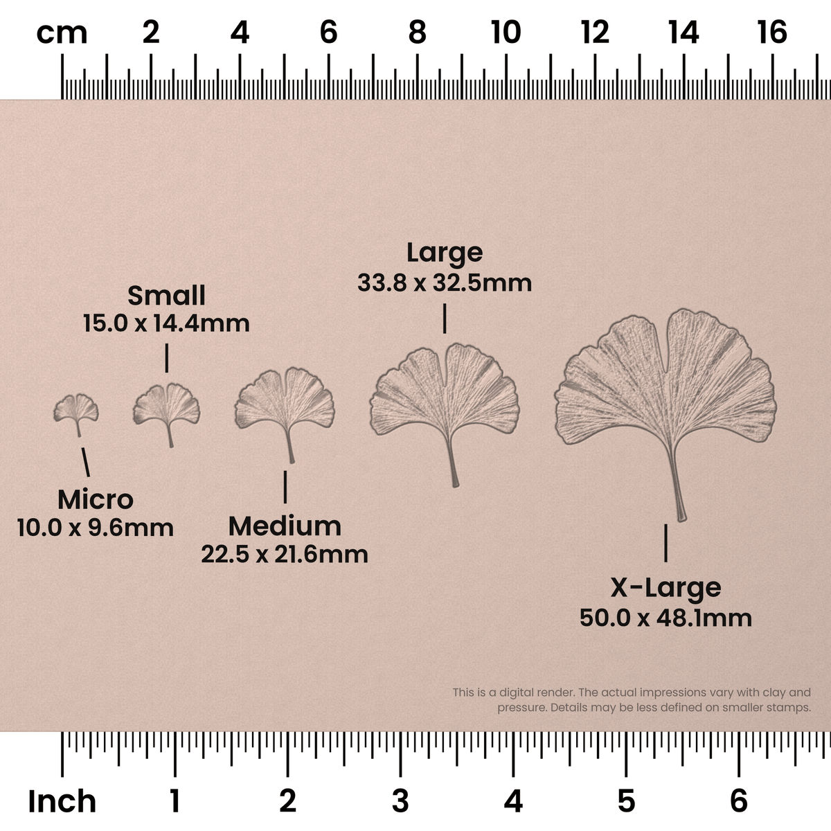 Ginko Leaf Stamps - Photo Textured