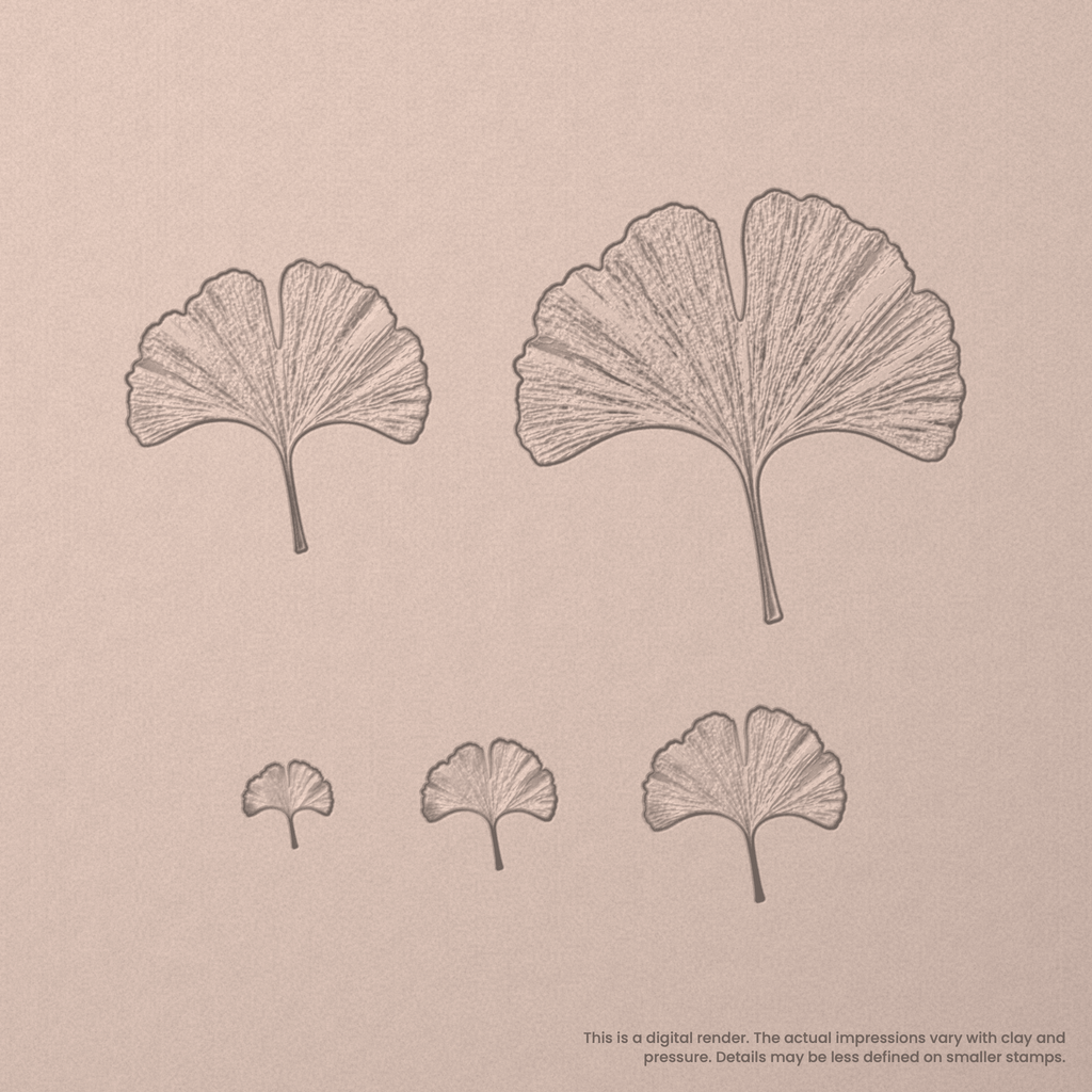 Ginko Leaf Stamps - Photo Textured