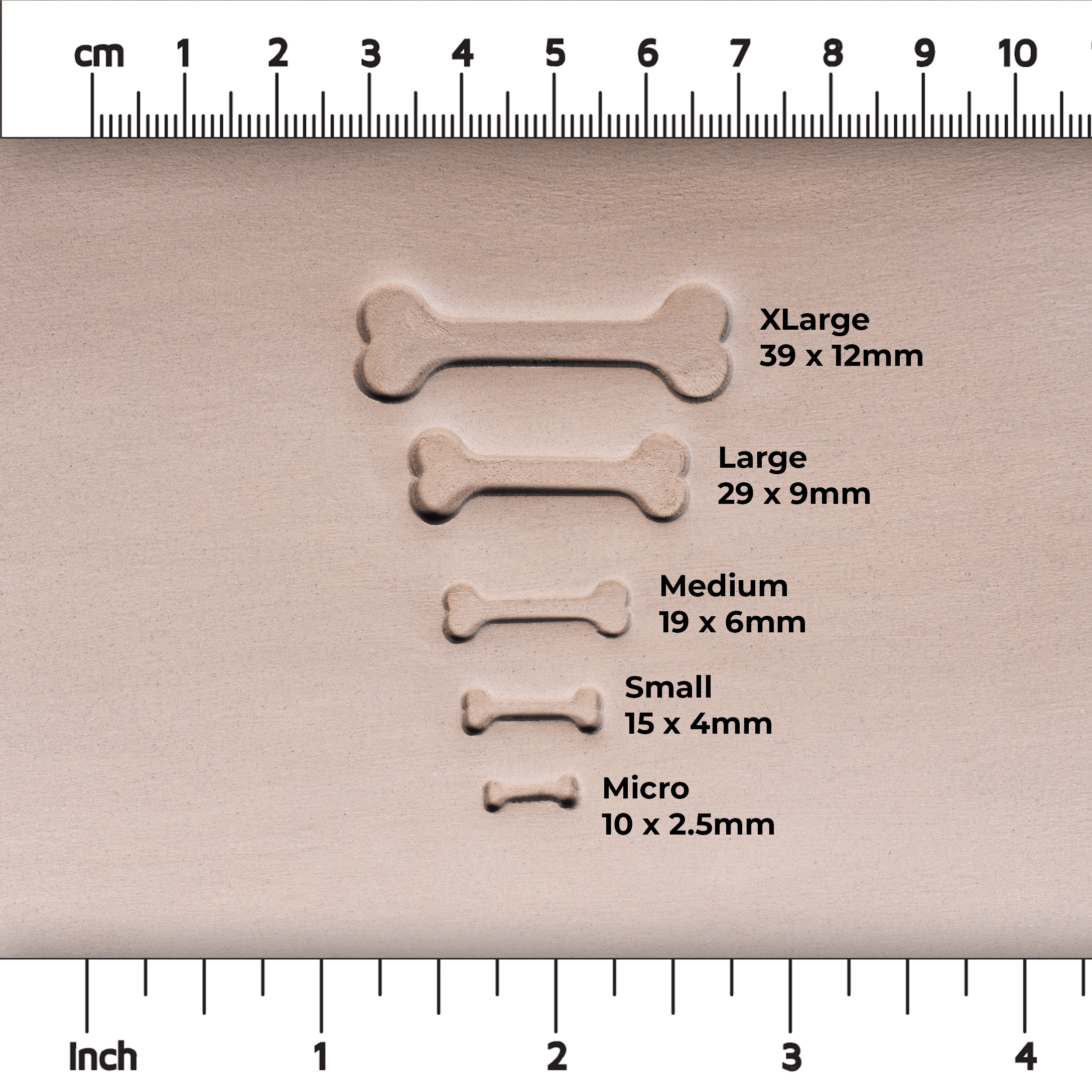 Halloween Bone Stamps