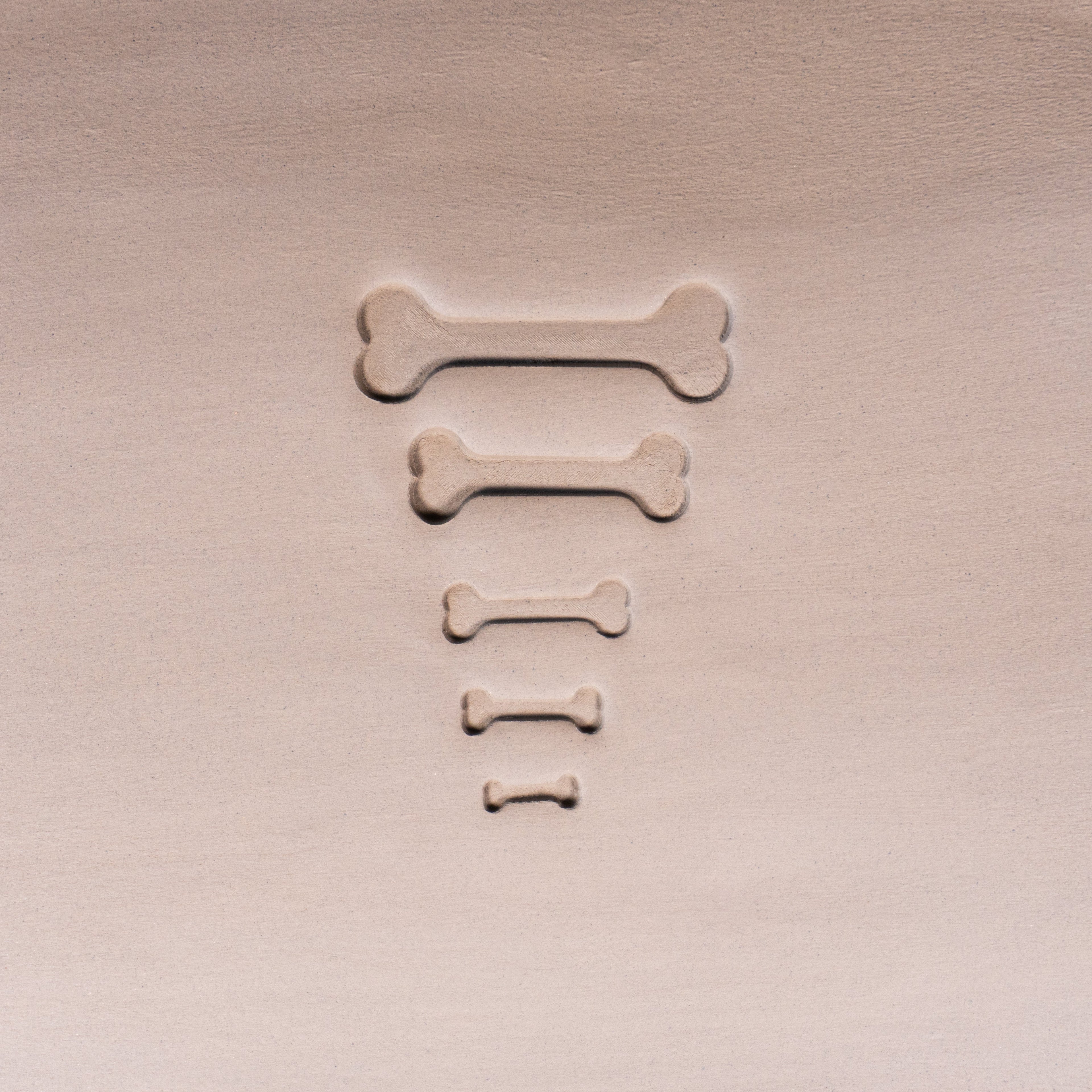 Halloween Bone Stamps