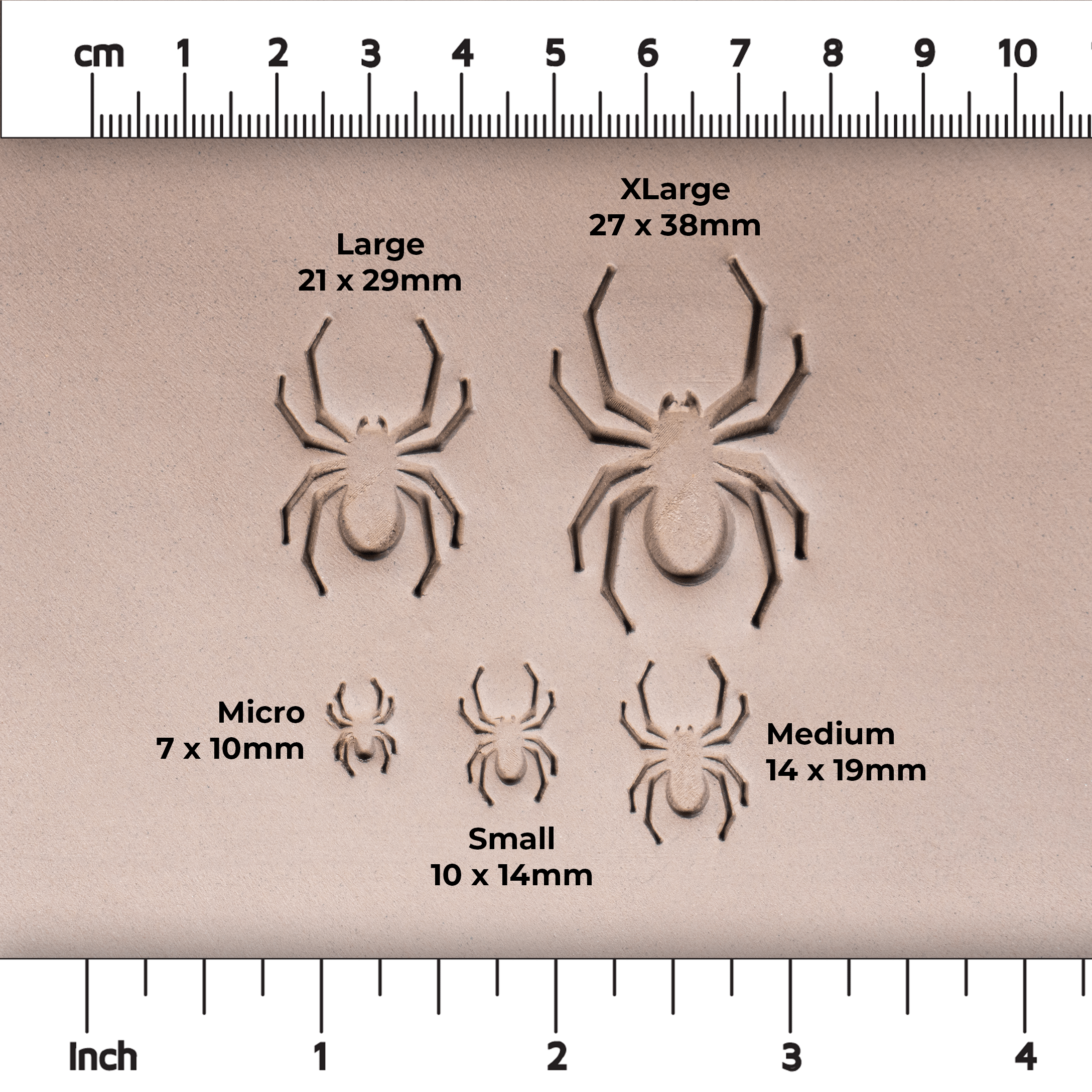 Halloween Spider Stamps