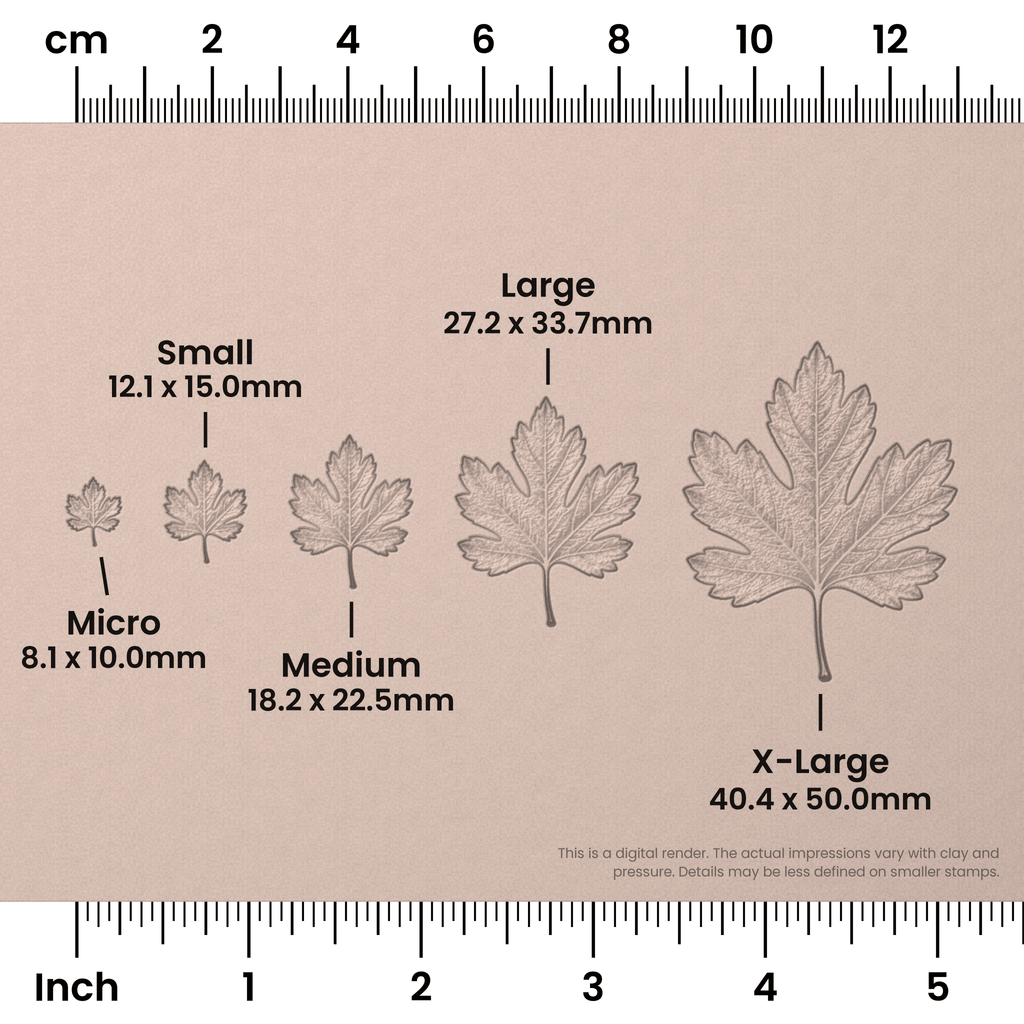 Hawthorn Leaf Stamps - Photo Textured