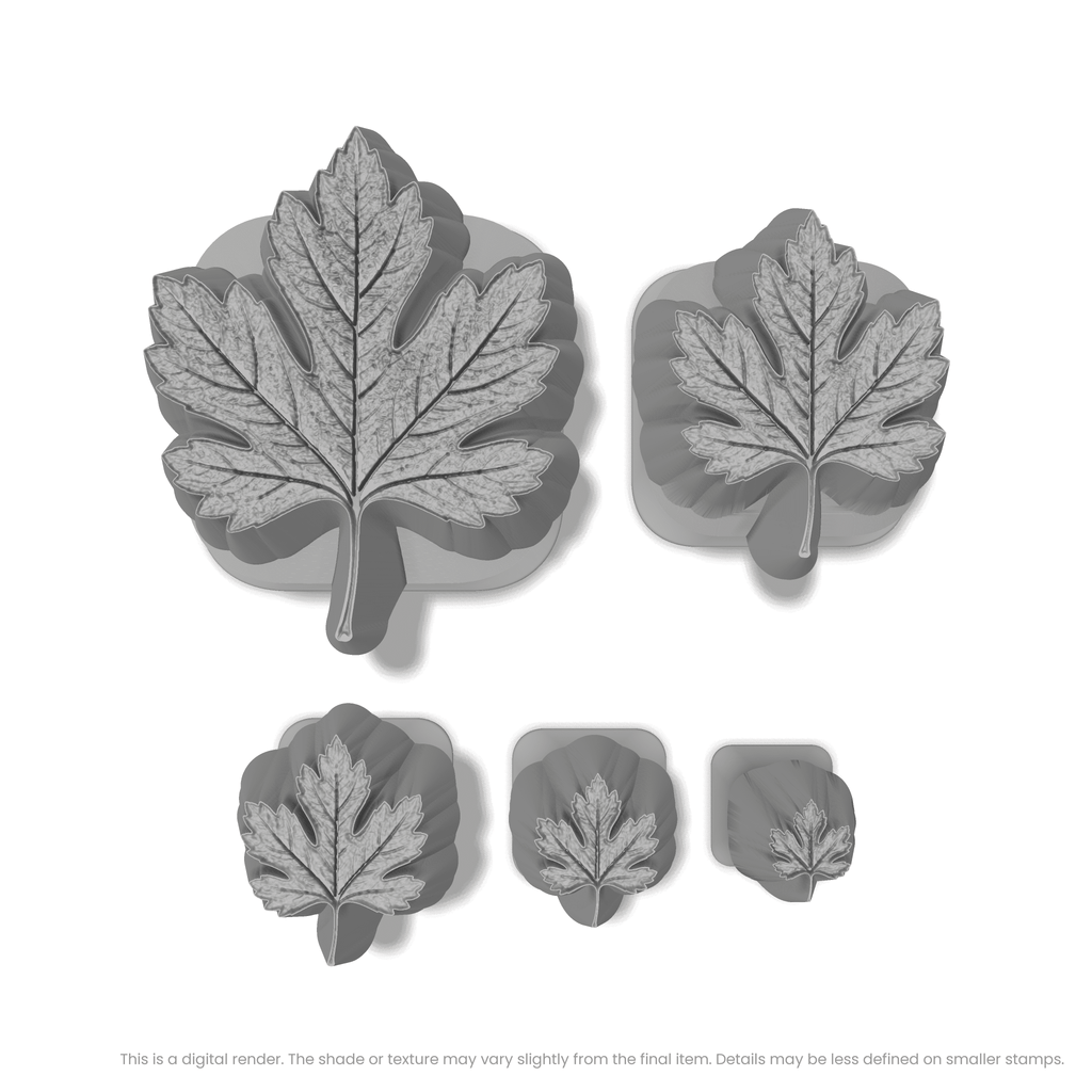 Hawthorn Leaf Stamps - Photo Textured