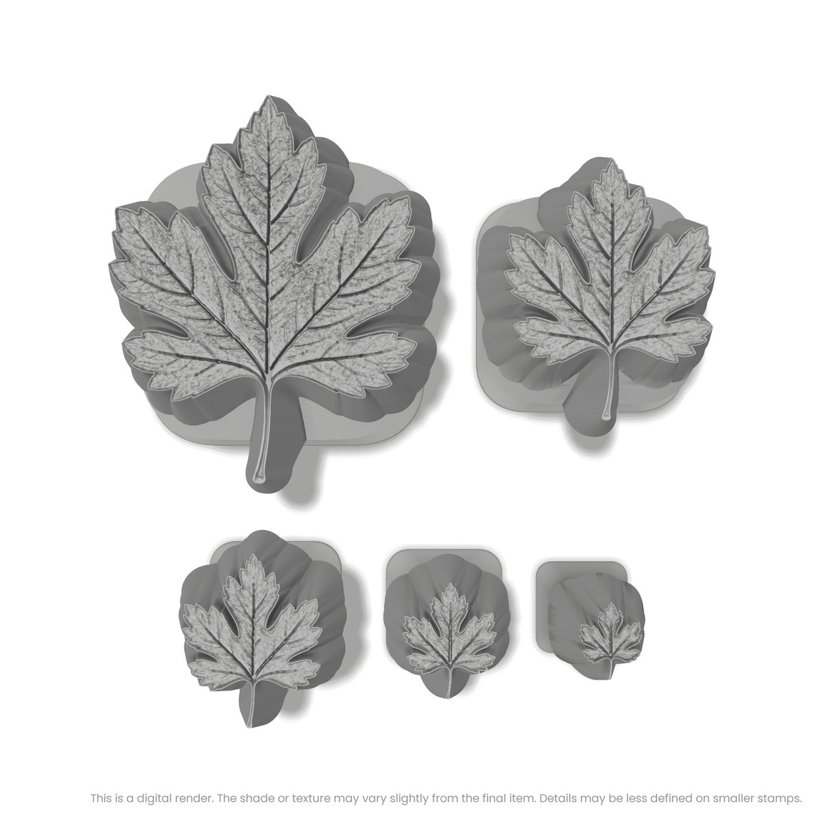 Hawthorn Leaf Stamps - Photo Textured
