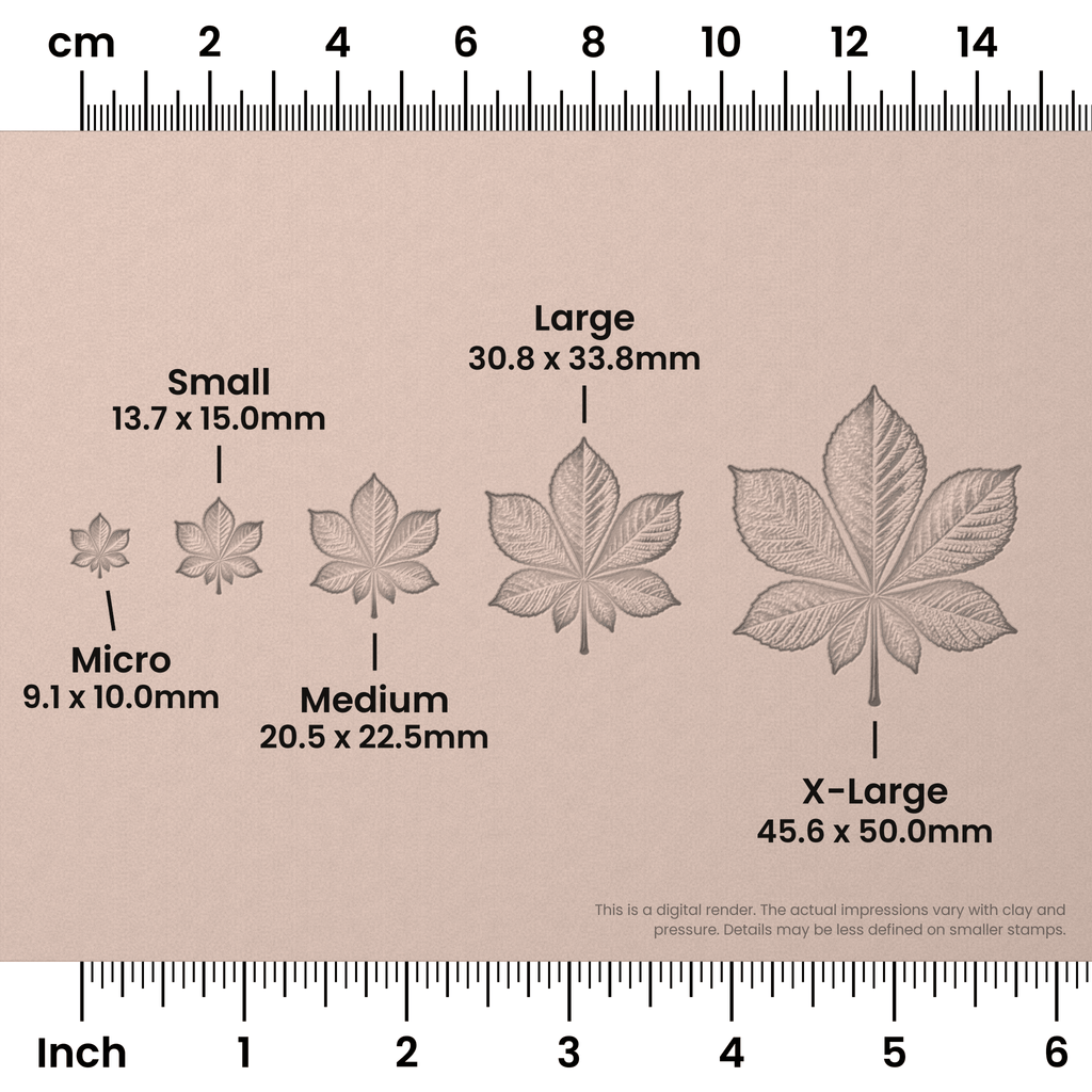 Horse Chestnut Leaf Stamps - Photo Textured