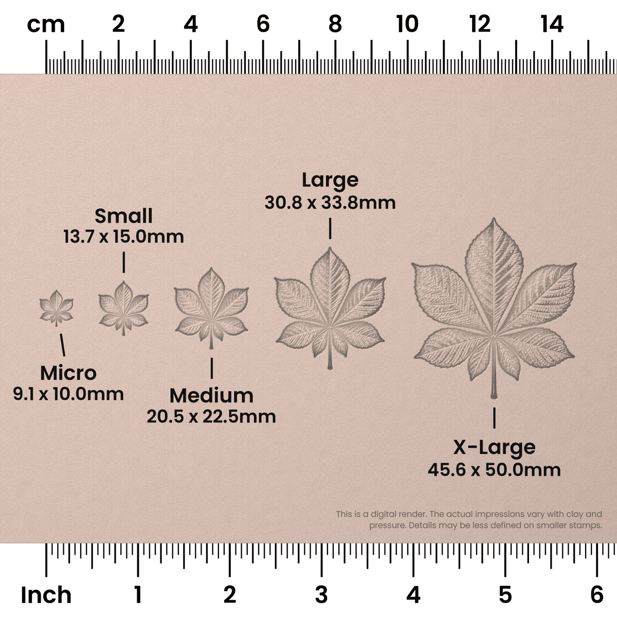 Horse Chestnut Leaf Stamps - Photo Textured