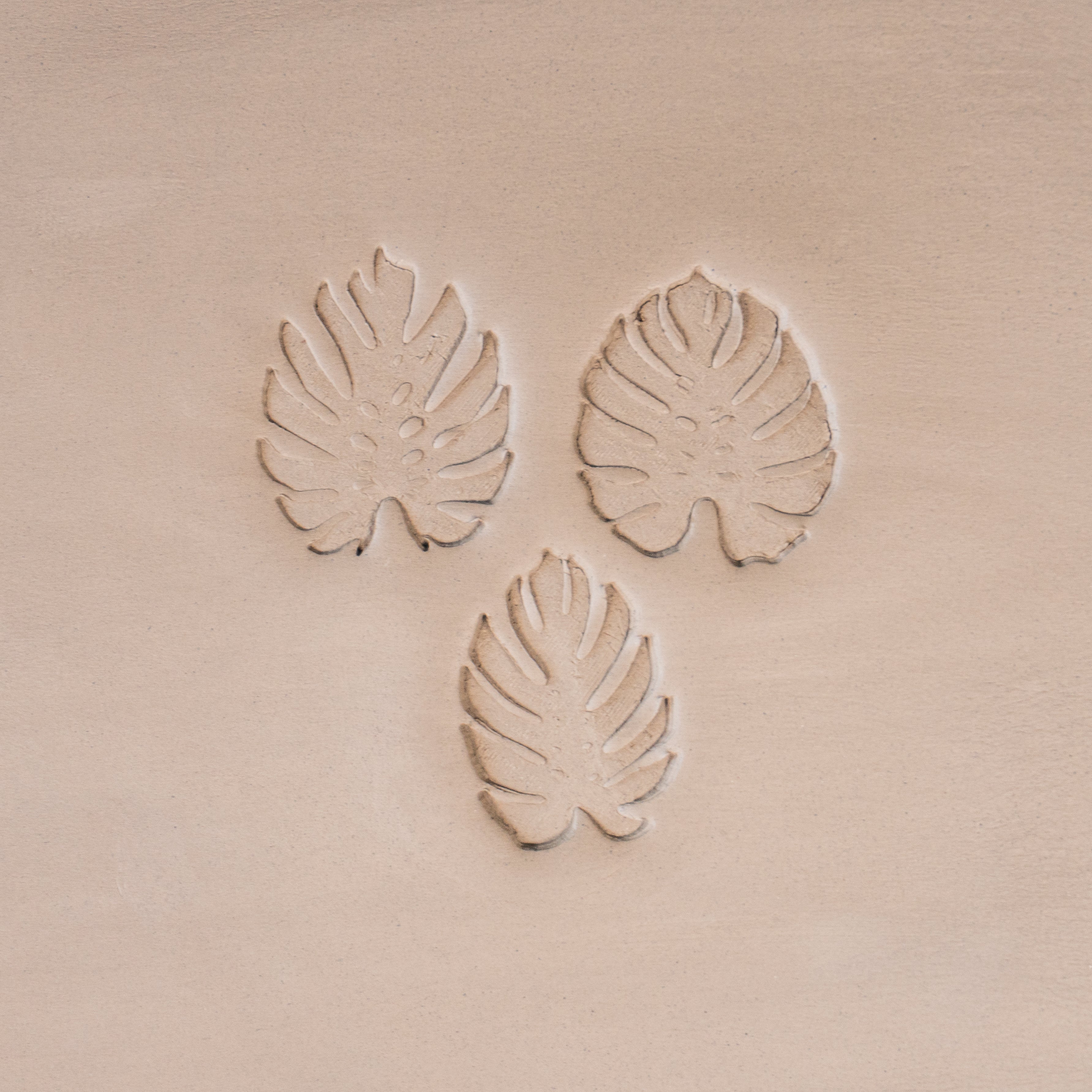 Monstera Leaf Stamps - 3 Styles & Sizes