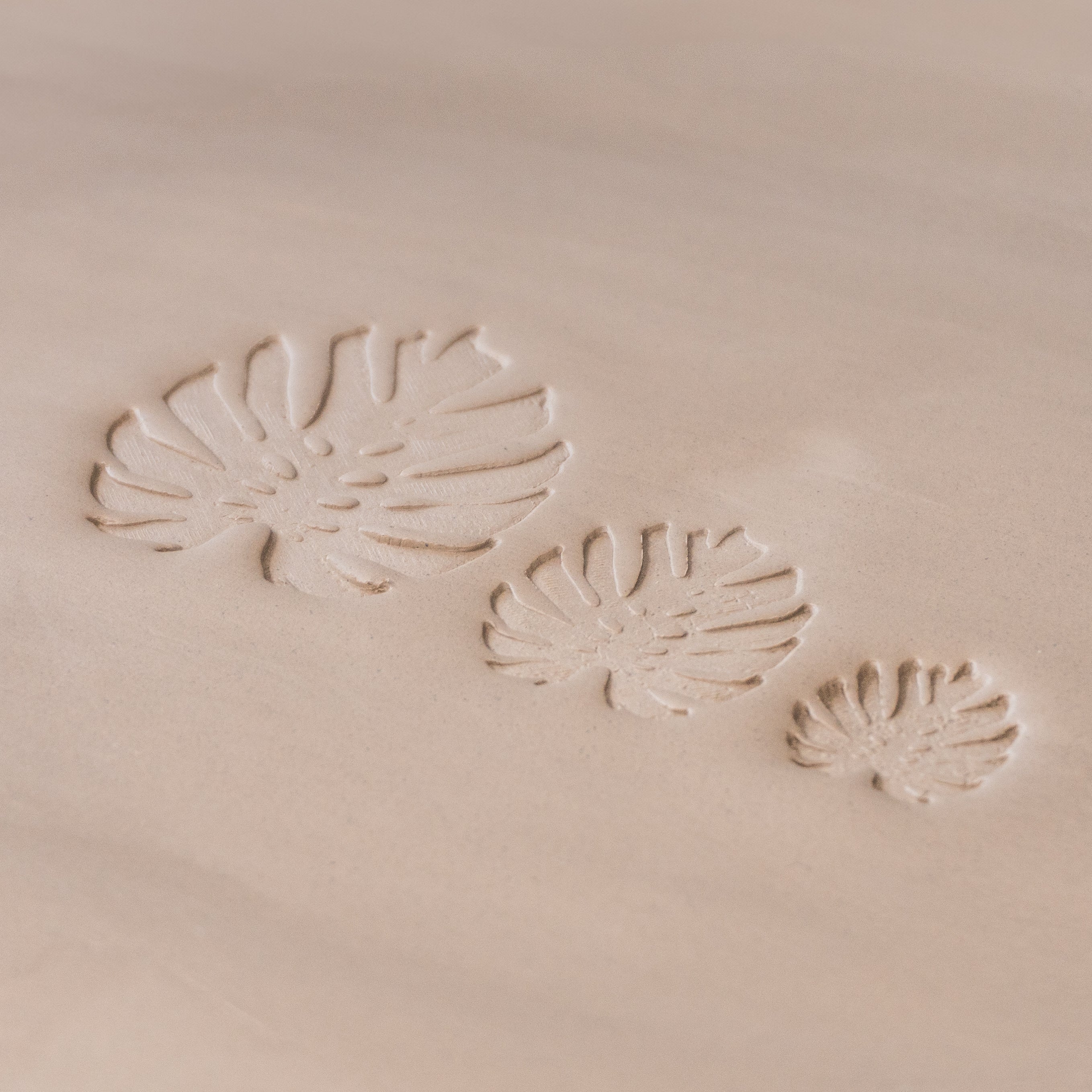 Monstera Leaf Stamps - 3 Styles & Sizes