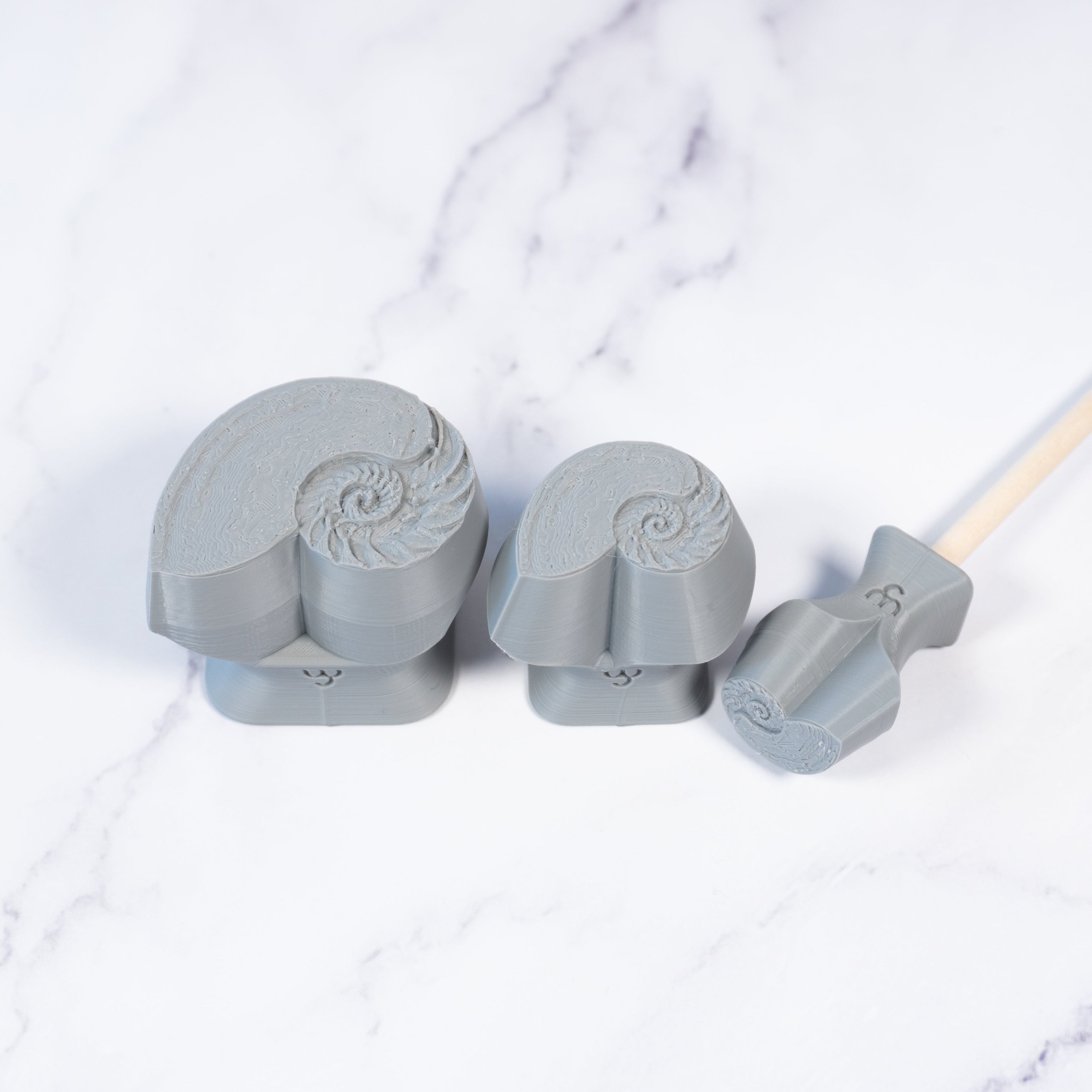 Nautilus Shell Stamp - Photo Textured - Style #1