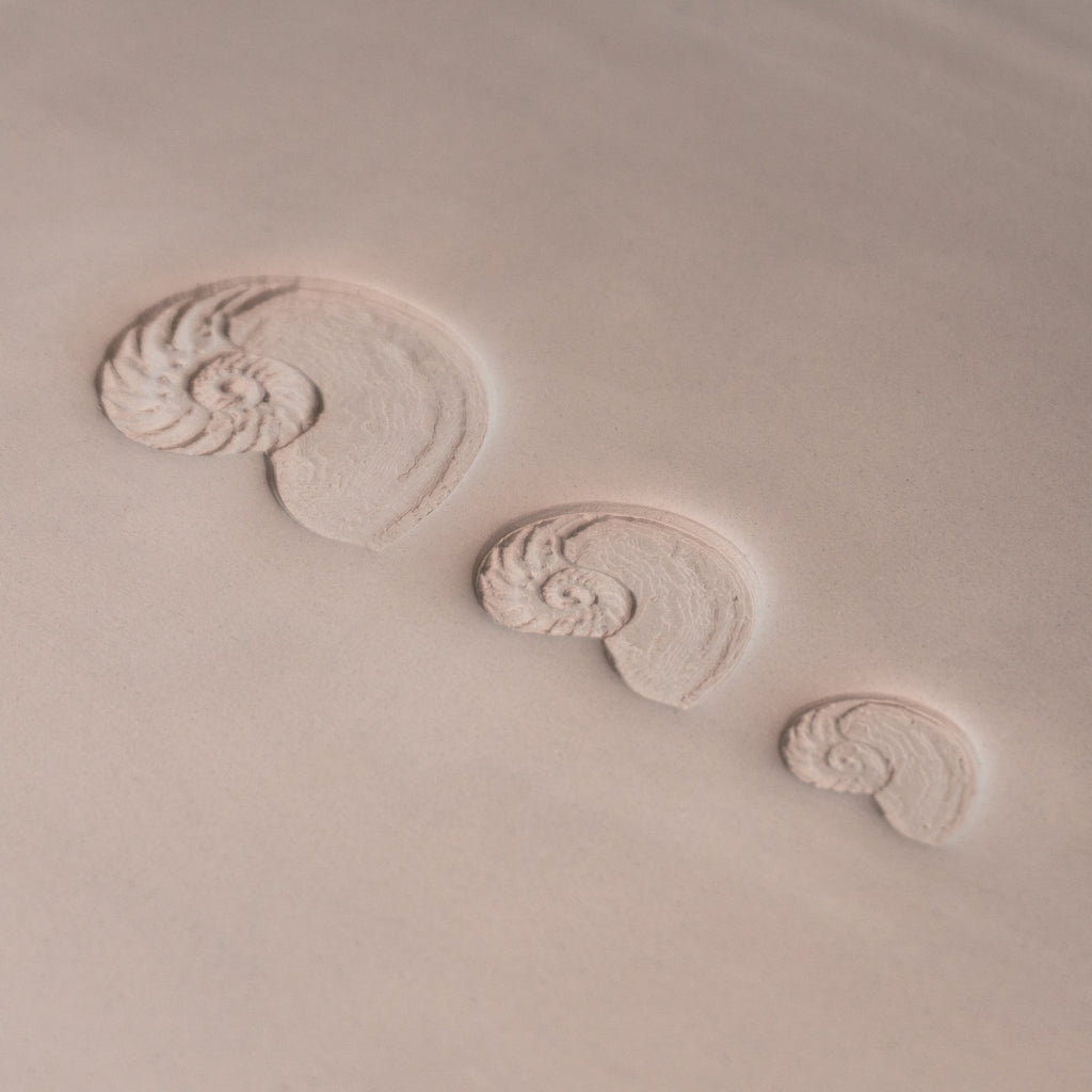 Nautilus Shell Stamp - Photo Textured - Style #1