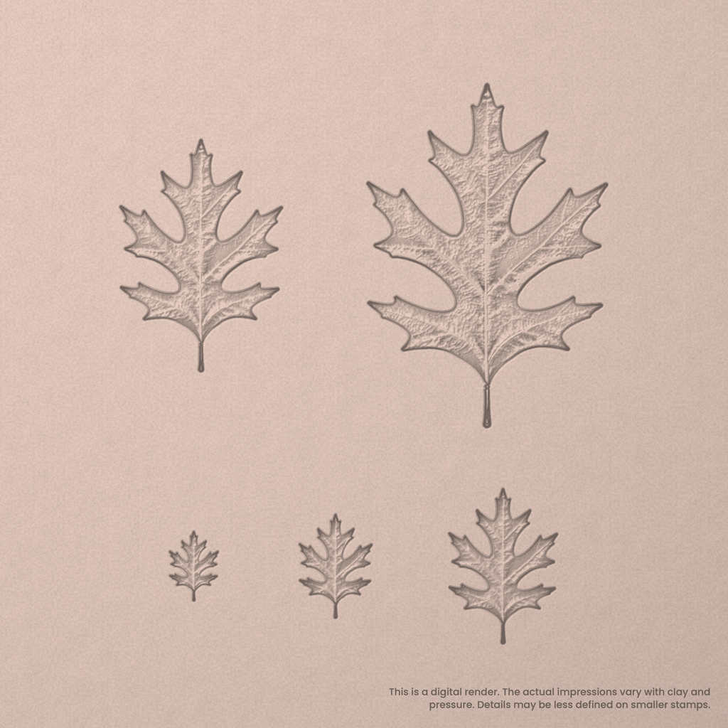 Pin Oak Leaf Stamps - Photo Textured