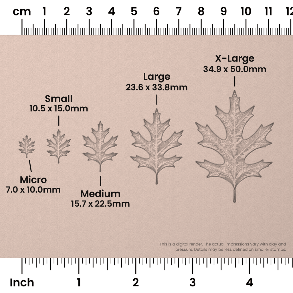 Pin Oak Leaf Stamps - Photo Textured