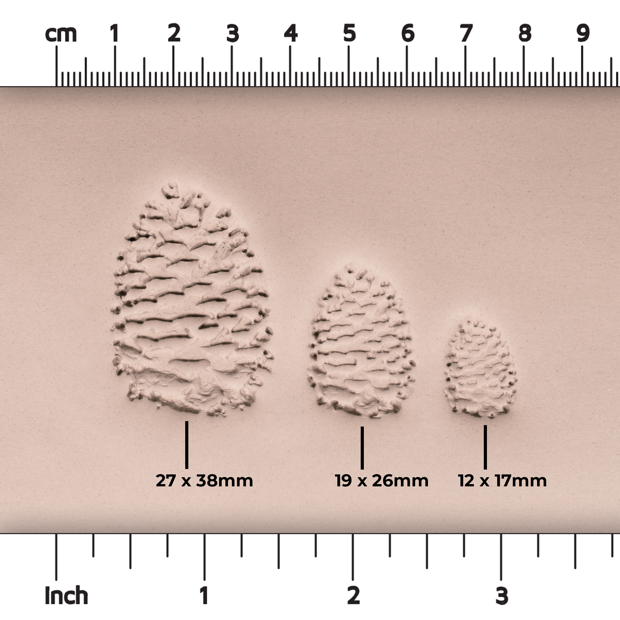 Pinecone Stamp - Photo Textured - Style #1