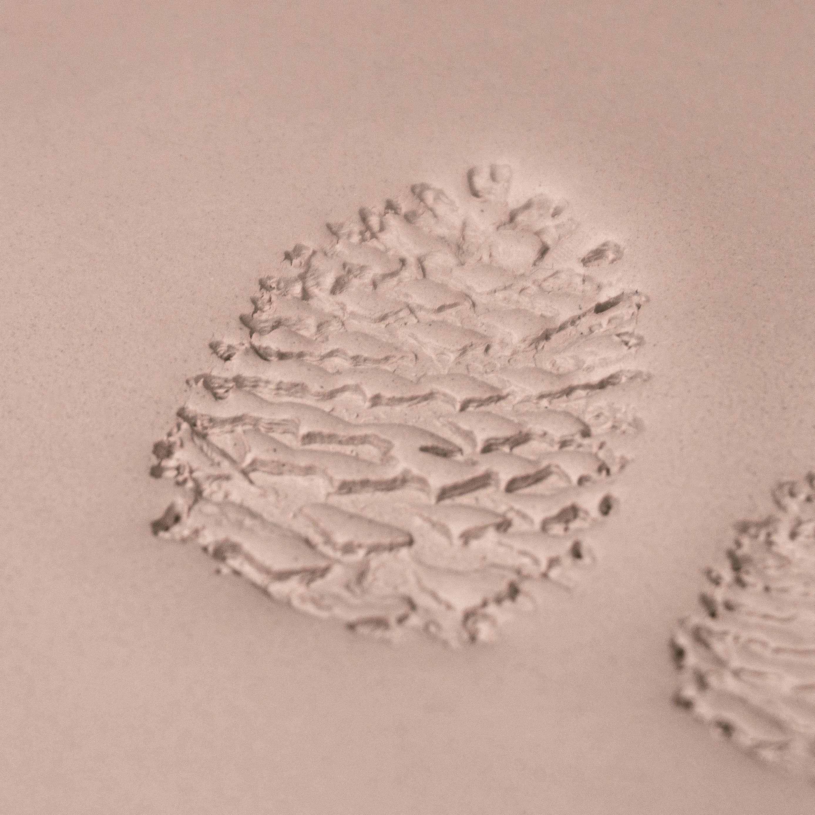 Pinecone Stamp - Photo Textured - Style #1